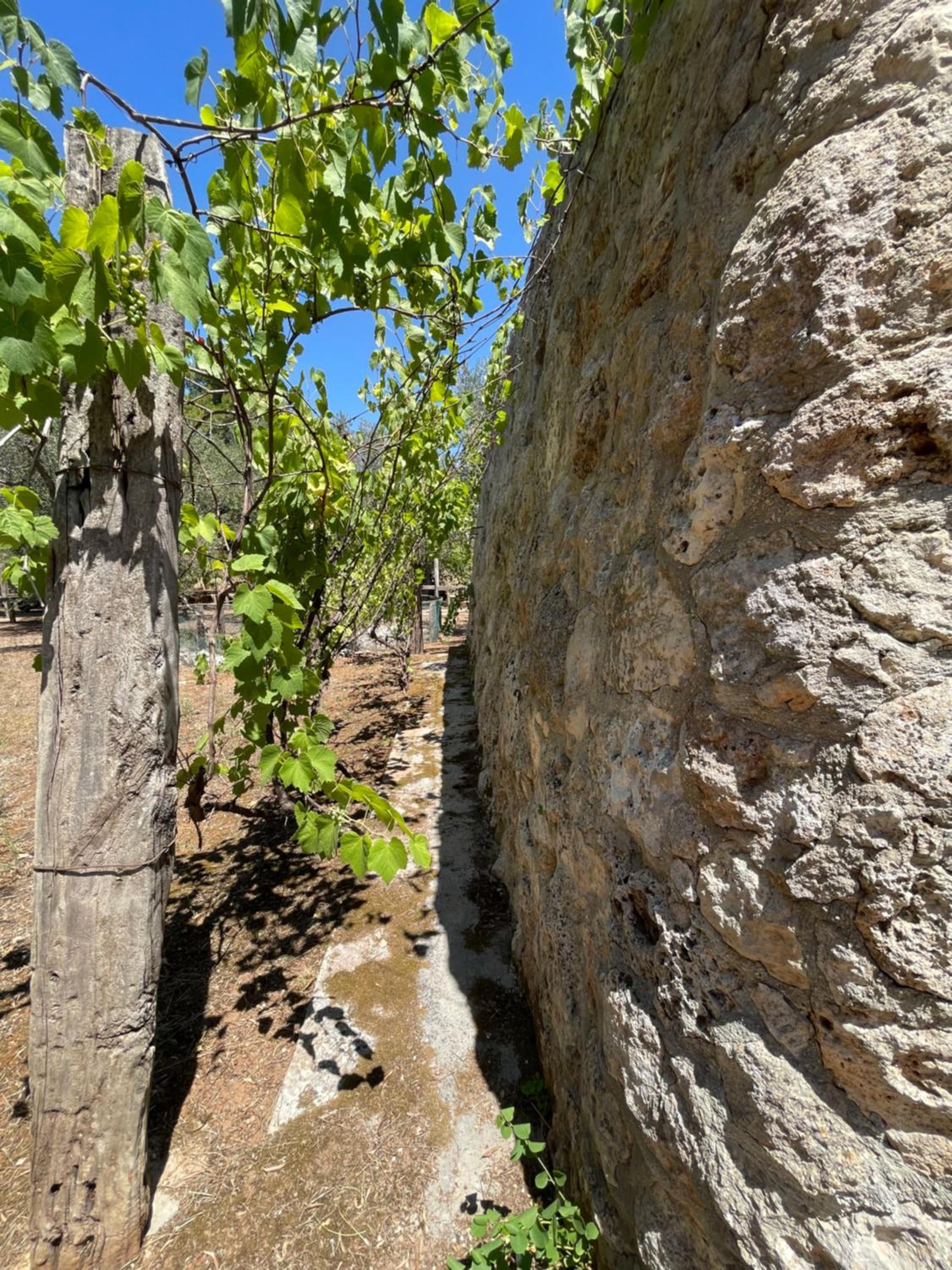 Agriturismo Salento Pietralata