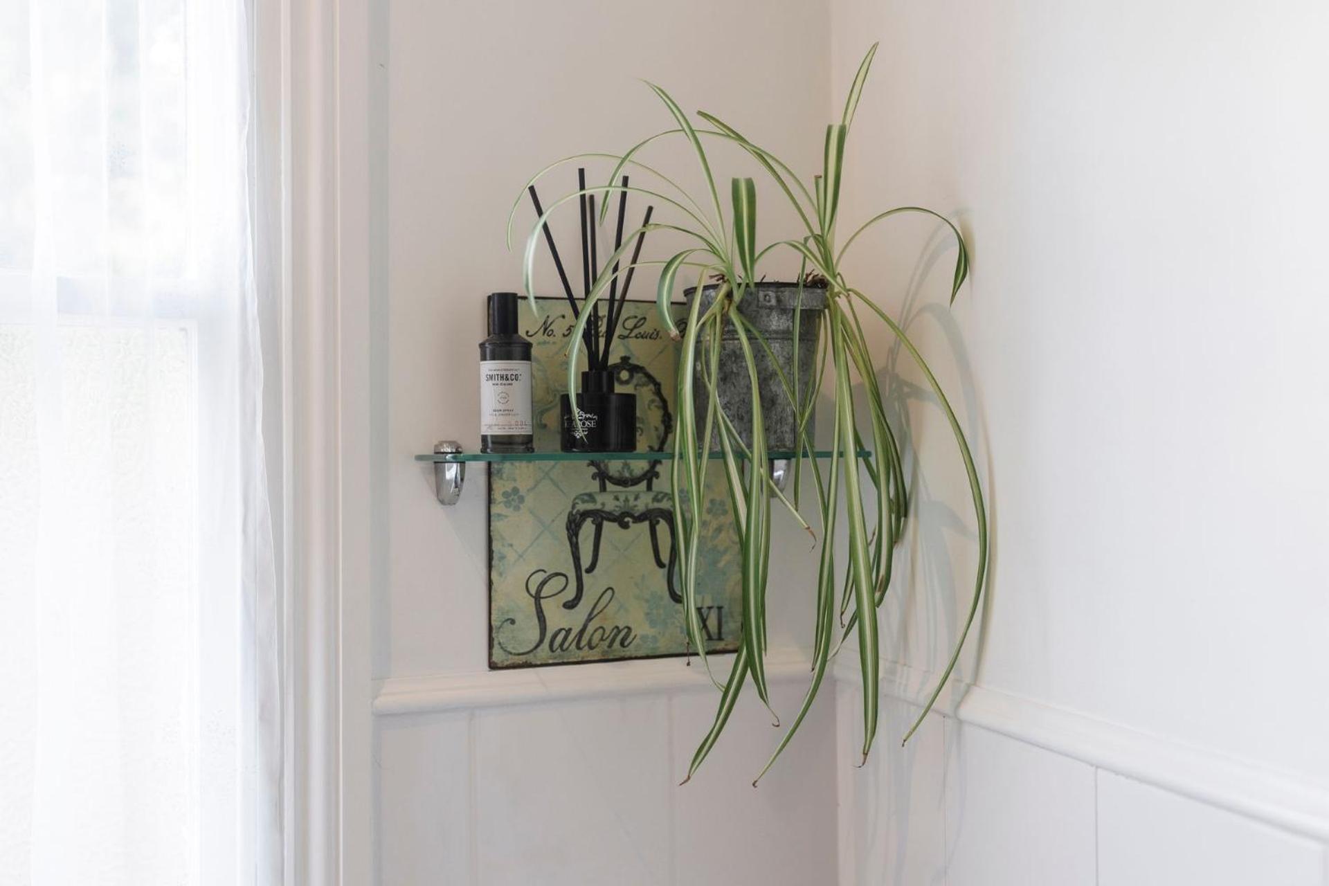 Timeless Treasure - family retreat with garden