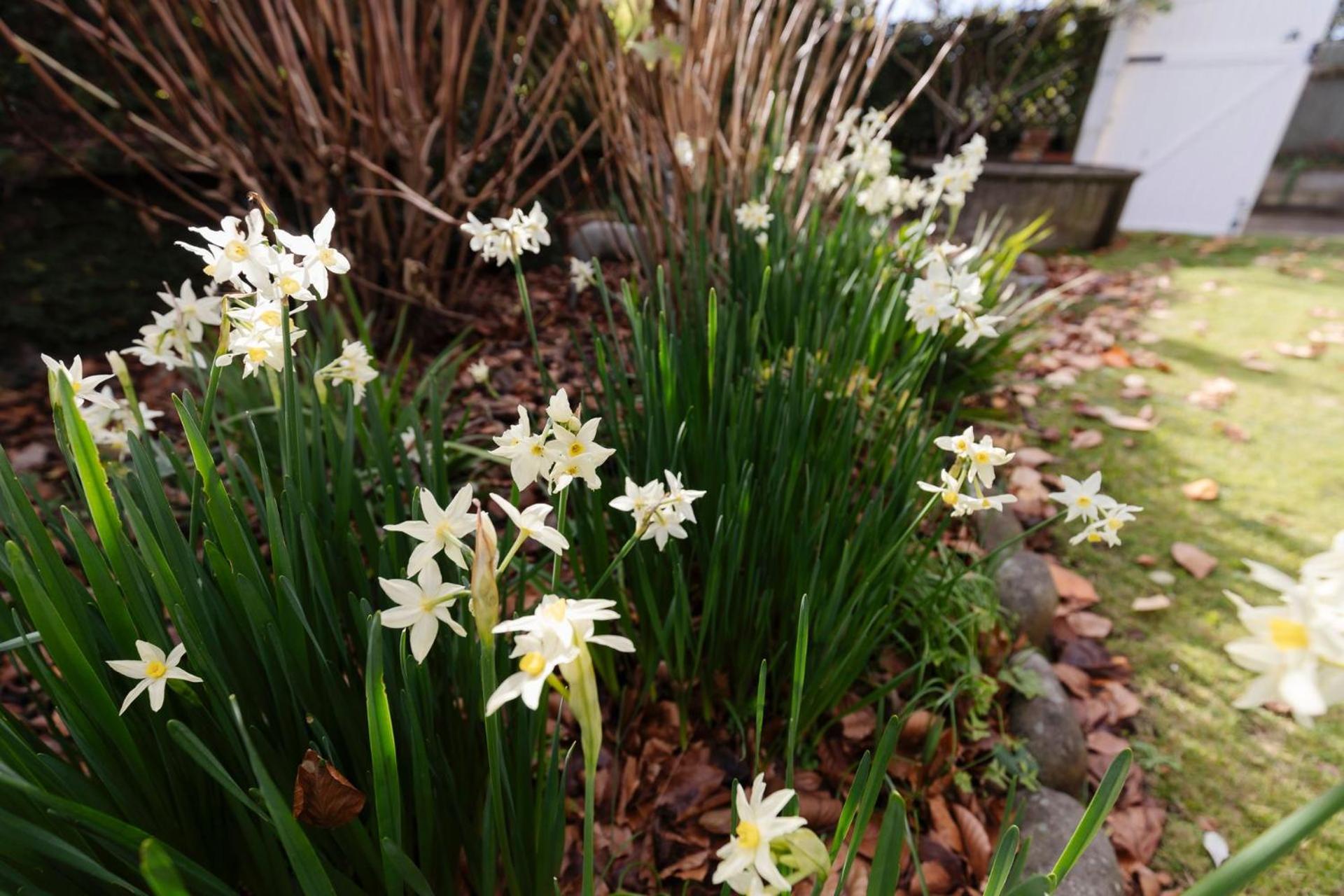 Timeless Treasure - family retreat with garden