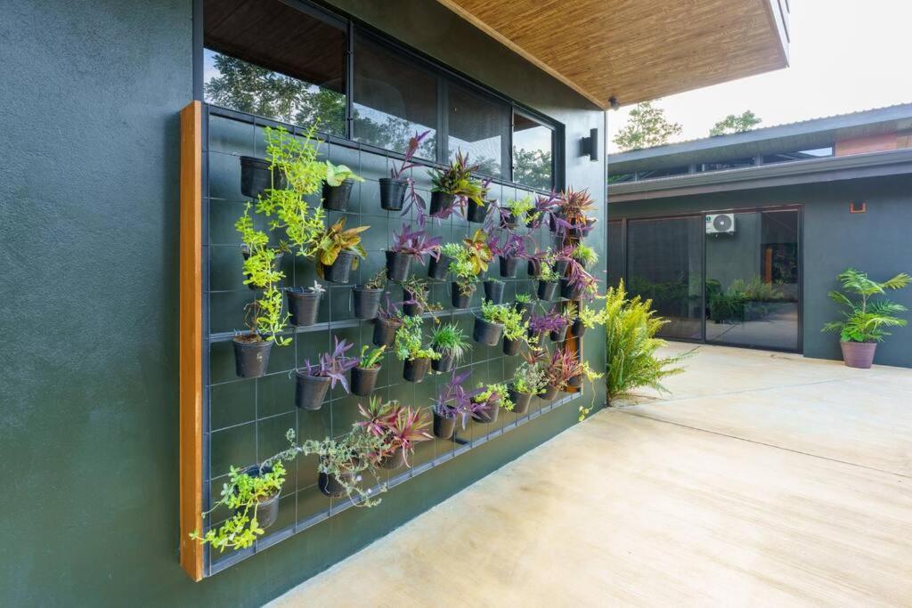 Casa Cielo Jungle House at Cielo Ranch Reserve