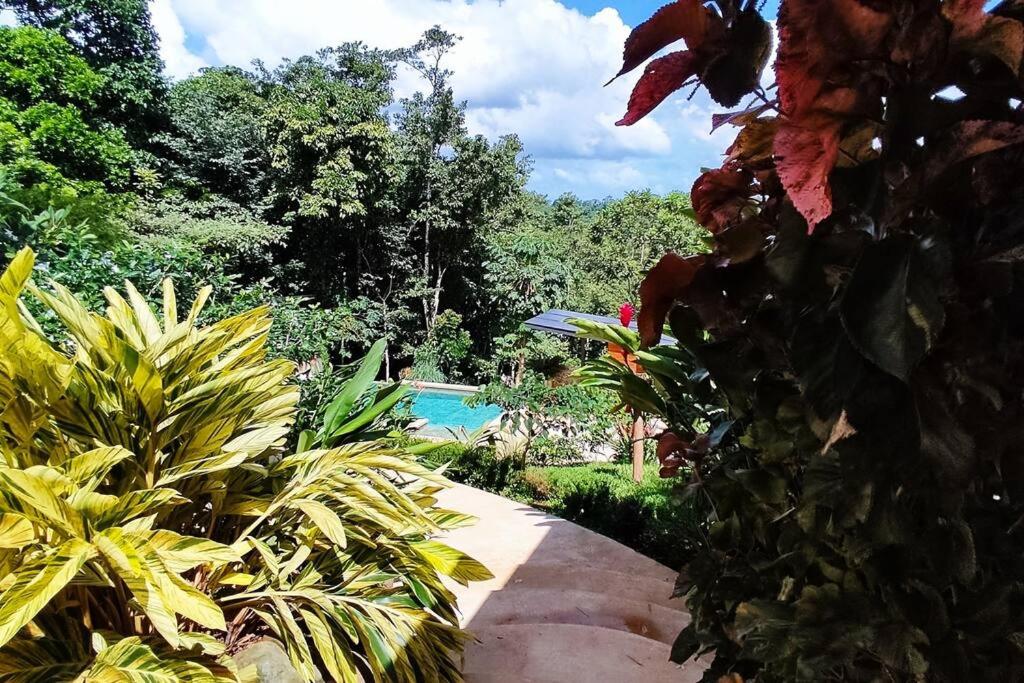 Casa Cielo Jungle House at Cielo Ranch Reserve