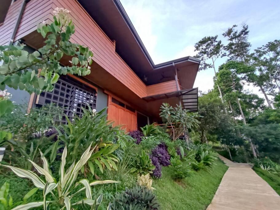 Casa Cielo Jungle House at Cielo Ranch Reserve
