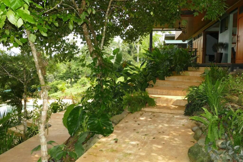 Casa Cielo Jungle House at Cielo Ranch Reserve