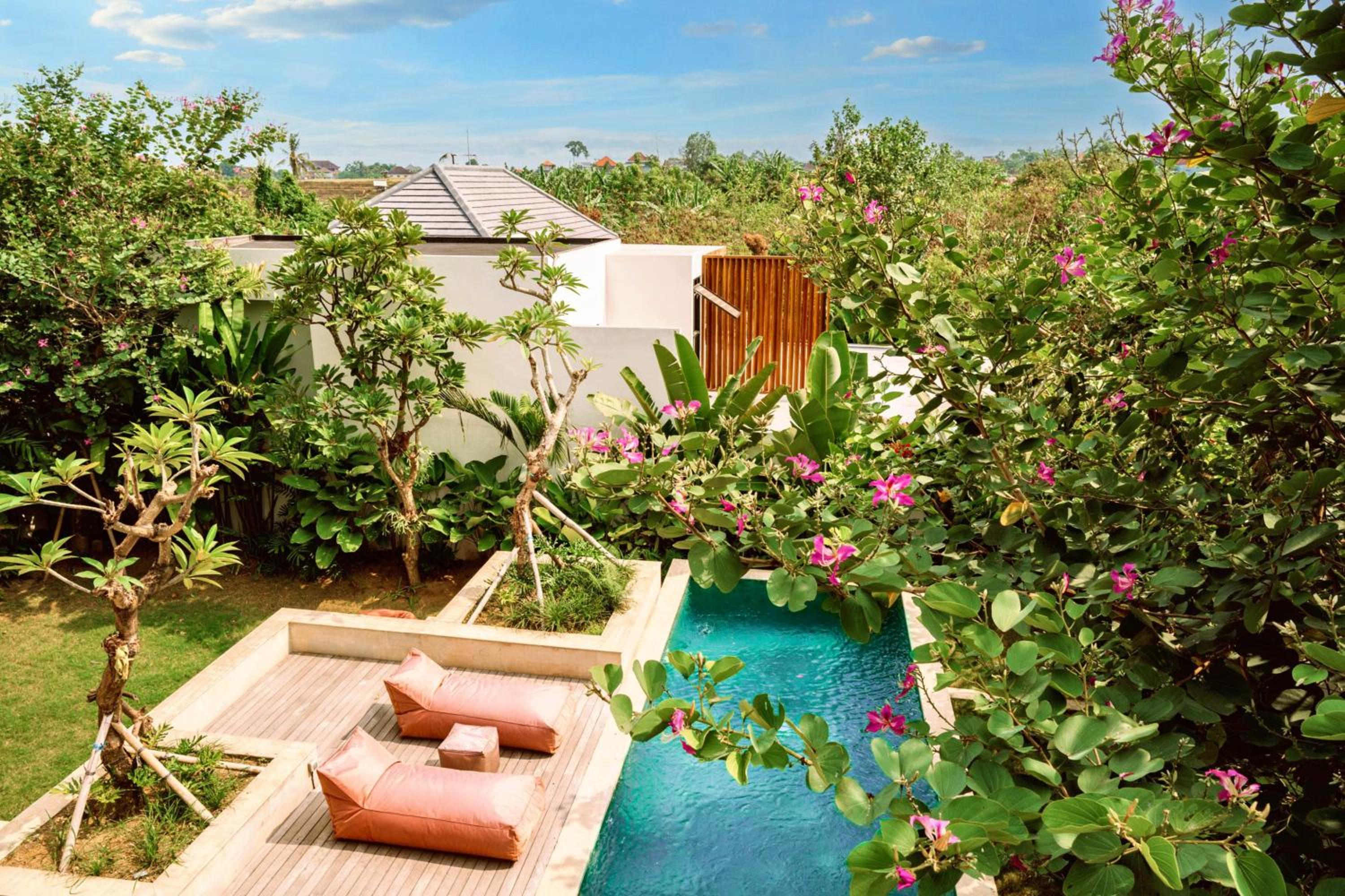 Luxury 3-Bedroom Designer Villa with private Pool in Canggu — recepcion & lobby