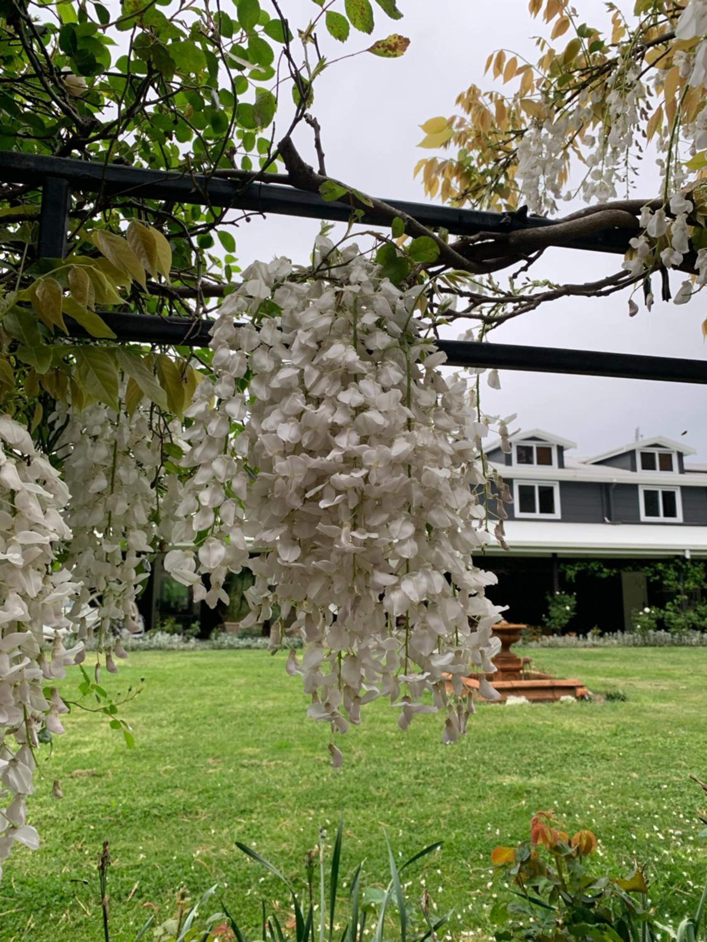 The Grange Berrima - The Ultimate Rural Retreat