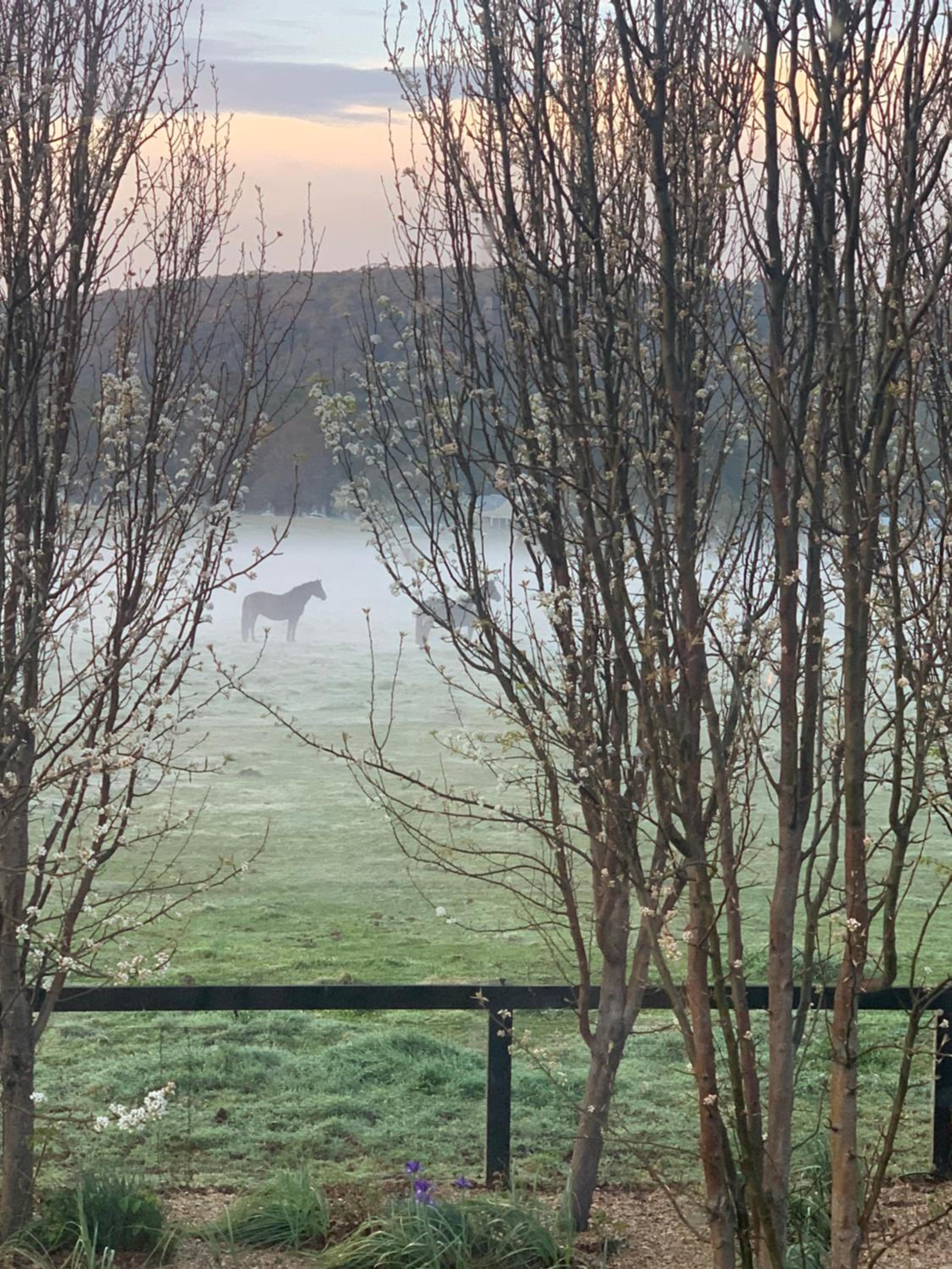 The Grange Berrima - The Ultimate Rural Retreat