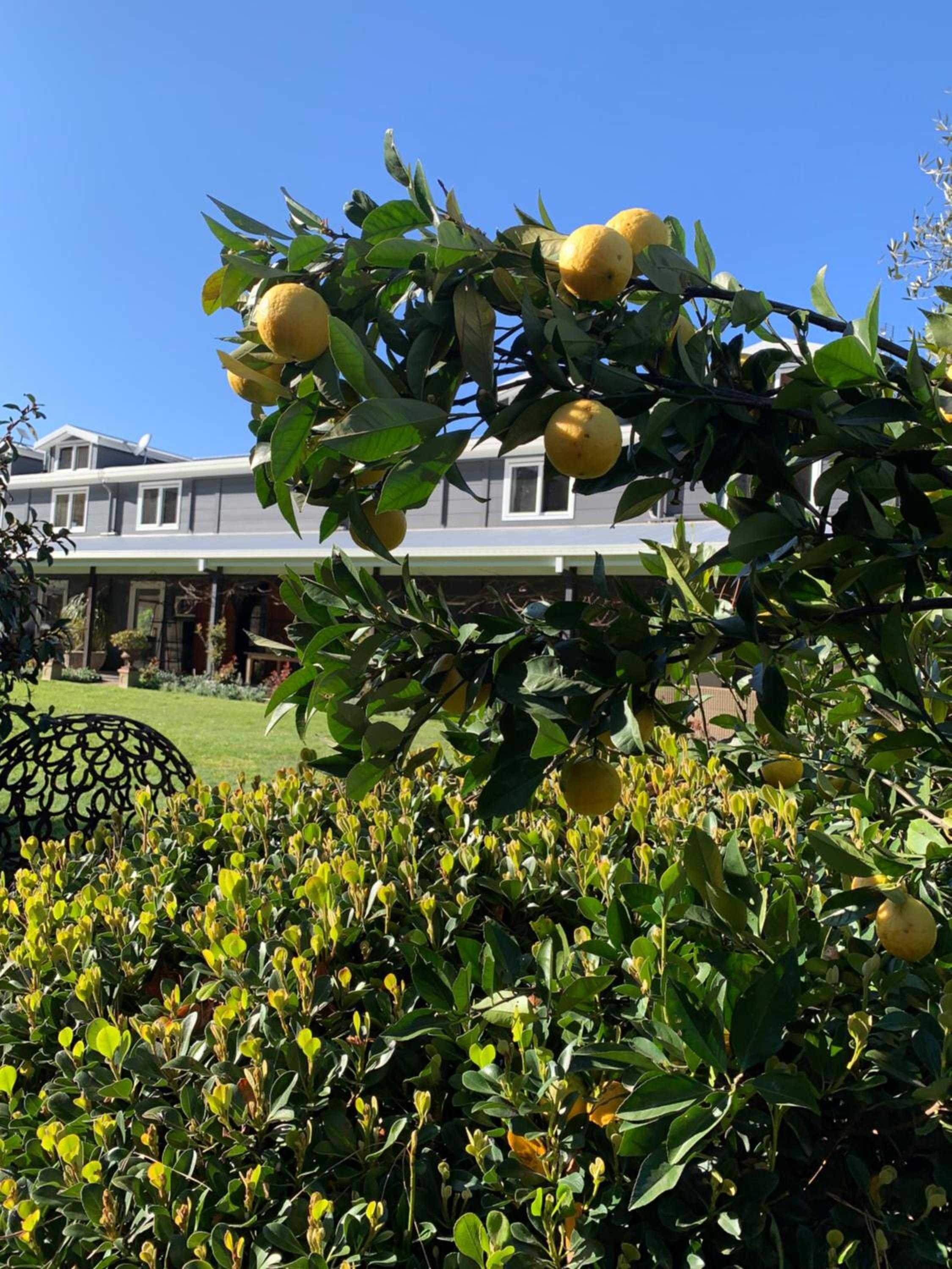 The Grange Berrima - The Ultimate Rural Retreat