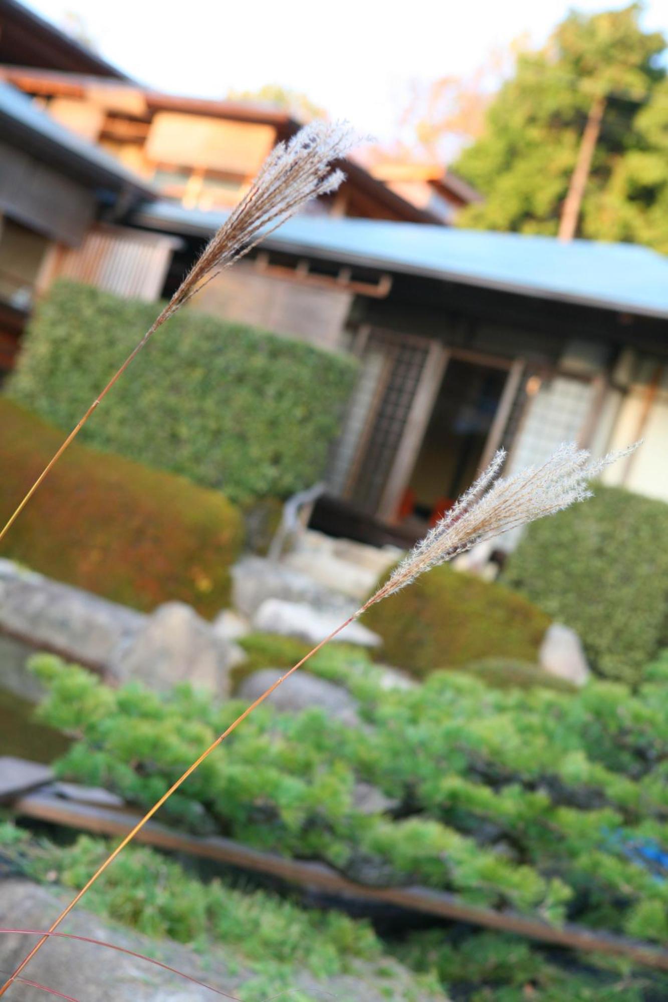 Sekitei