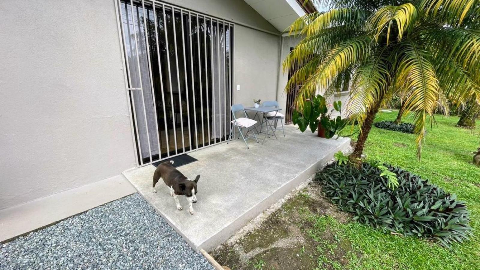 Casa Bambu céntrico, lindo y acogedor con A C