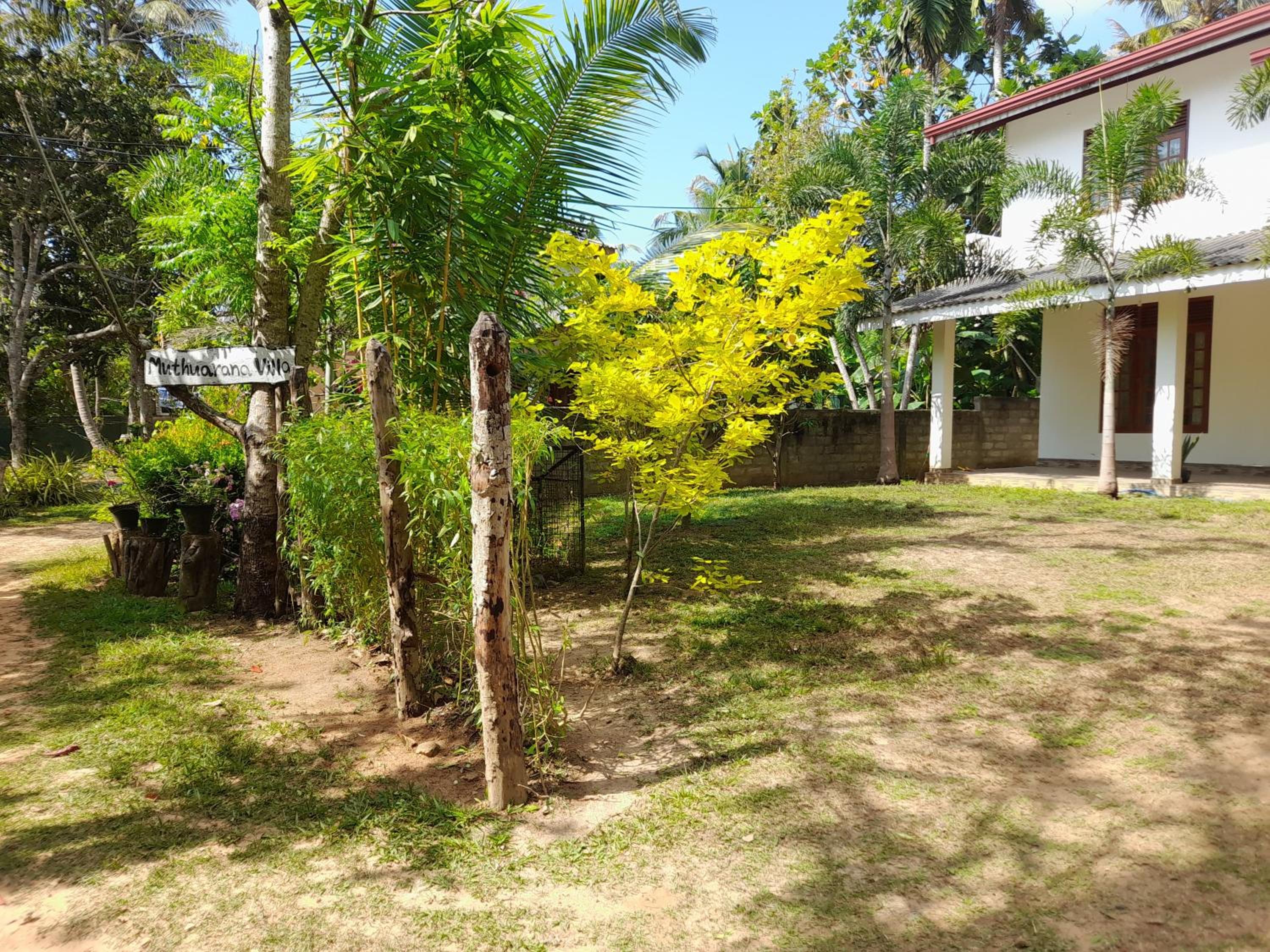 Photo 25