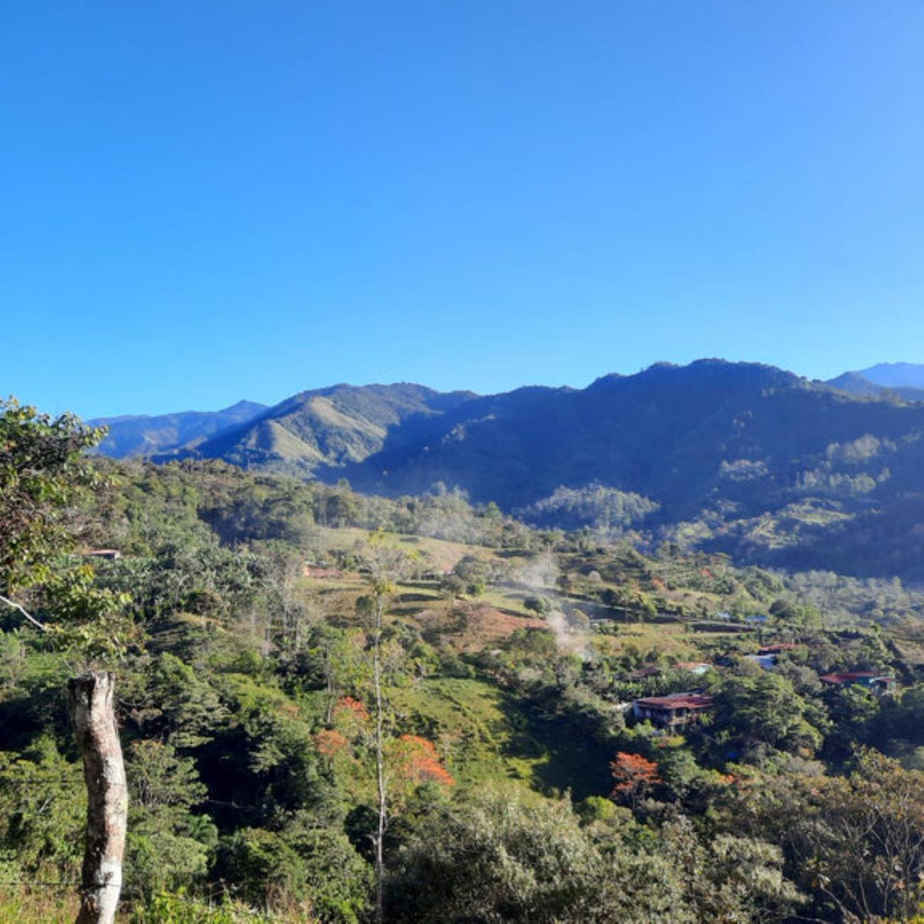CANTO DEL RIO-Rivas- vista a la montaña- tranquilo