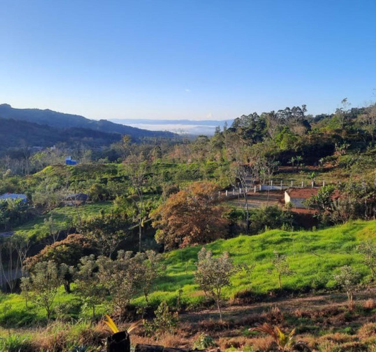 CANTO DEL RIO-Rivas- vista a la montaña- tranquilo