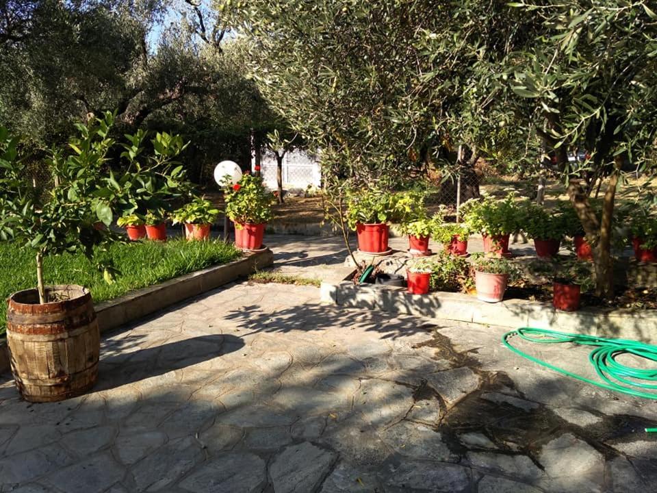 Villa Asimidou