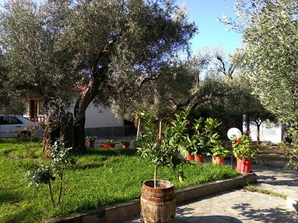 Villa Asimidou