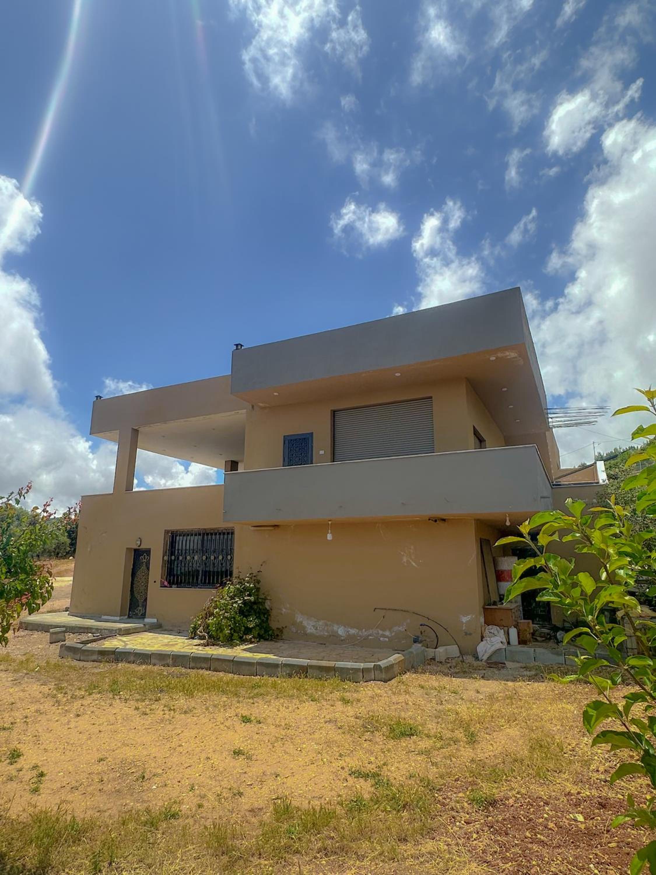 Olive Tree Farm & Chalet view 5