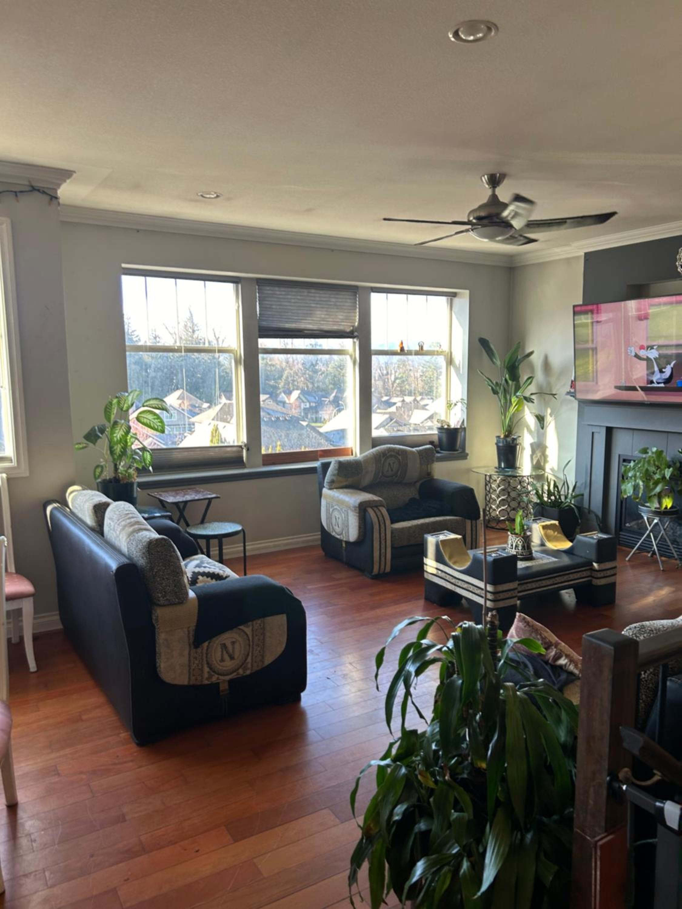 Bright 2 year old home offering 2 bedroom & 1 bedroom suites