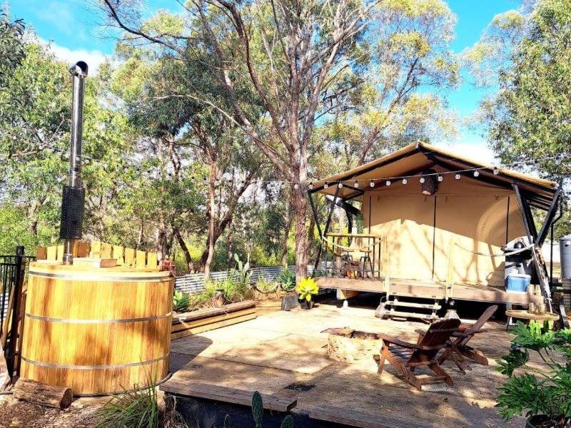 Moogie Glamp