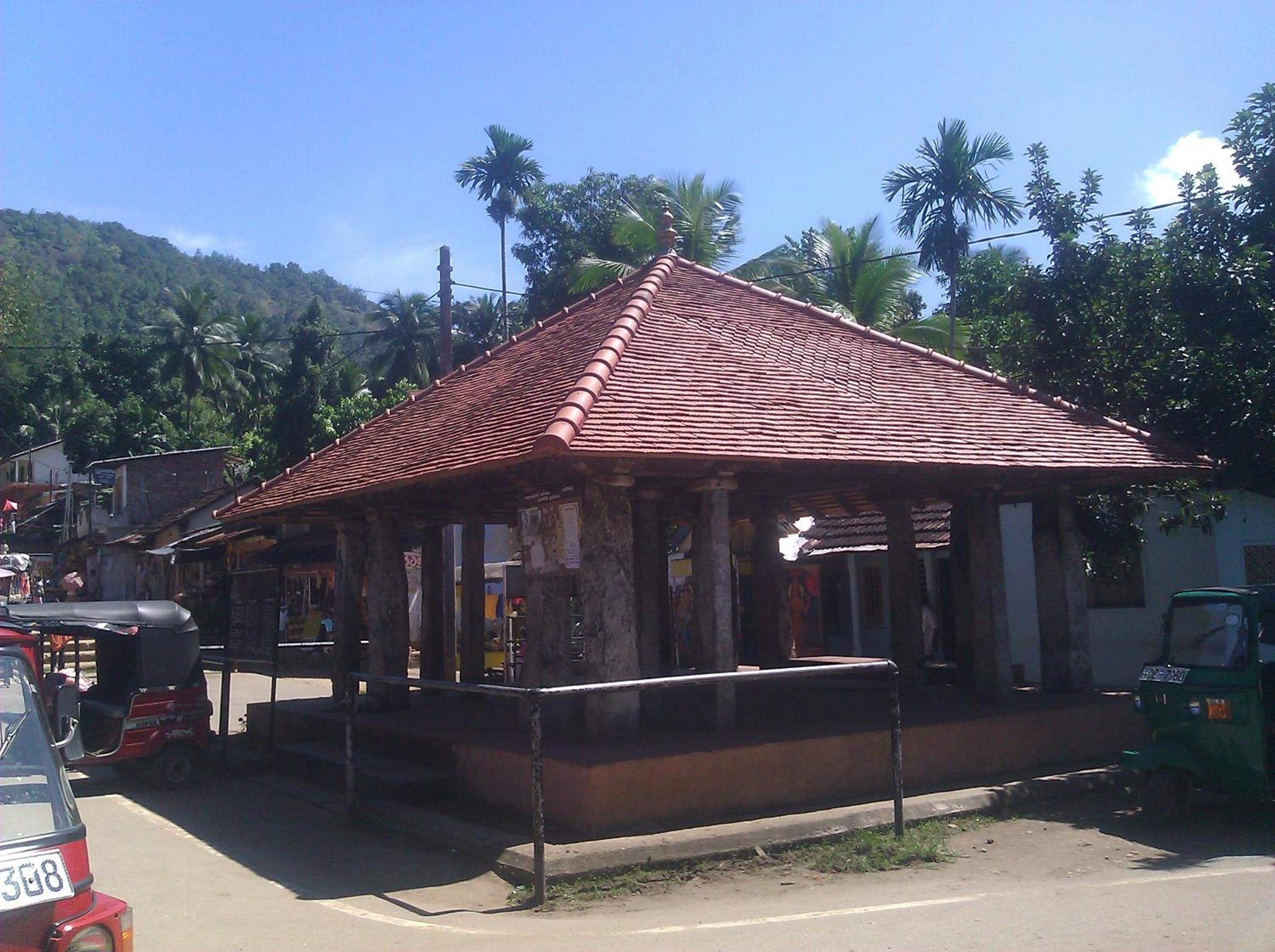 Hide Nest view 5