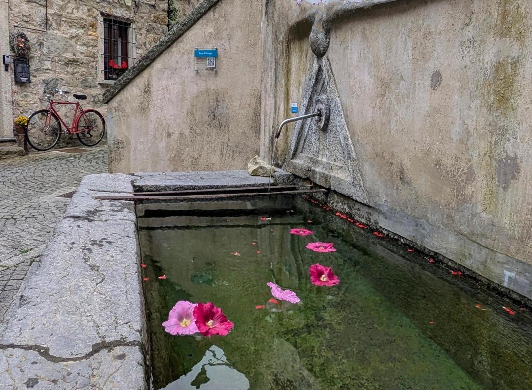 B&B Piccolo Tibet