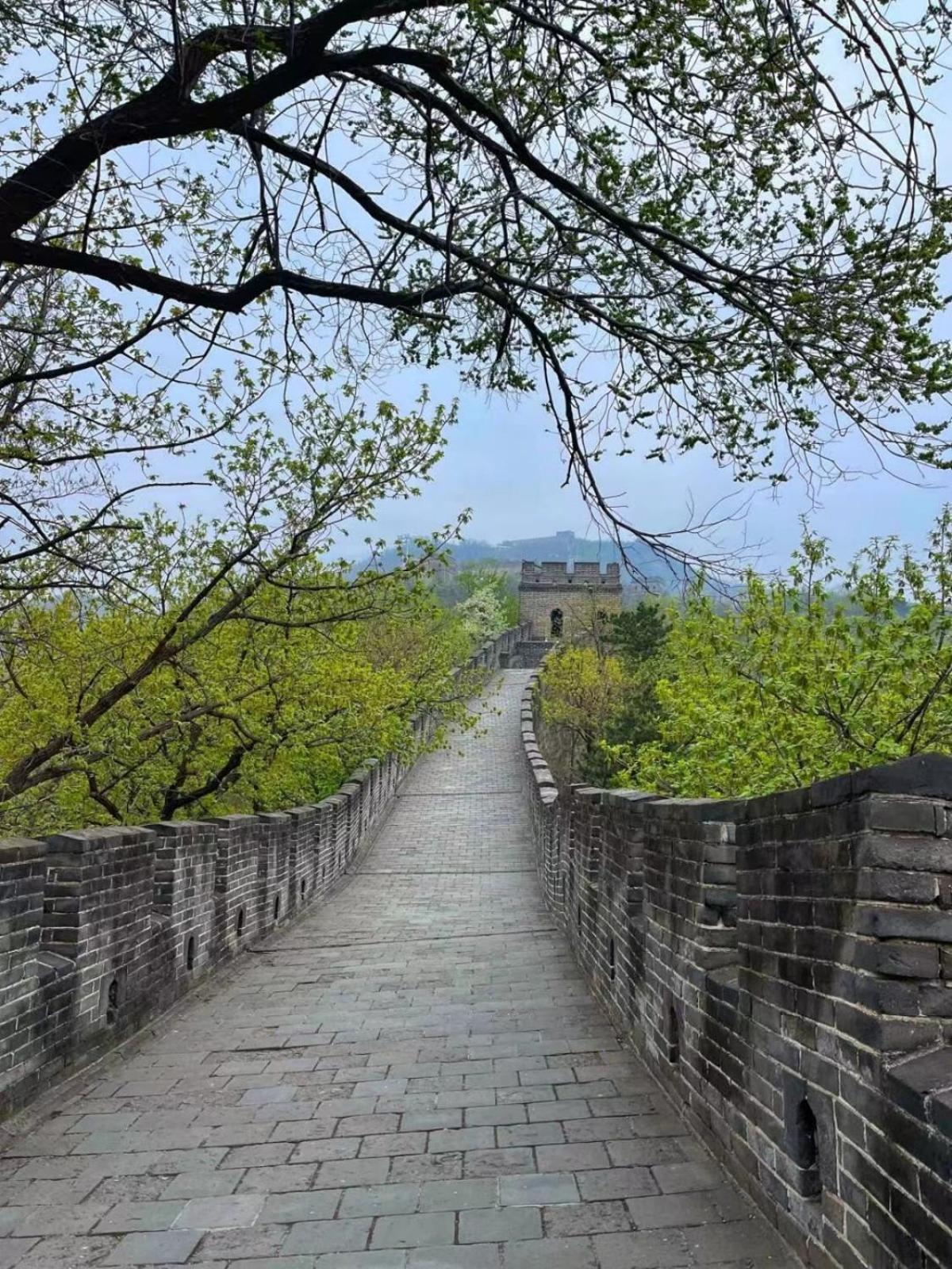 Jing Yan Lan Shan丨Free Lan Shan coffee 丨nearby the Hong Luo Temple and the Great Wall丨Garden and barbecue free breakfast dinner