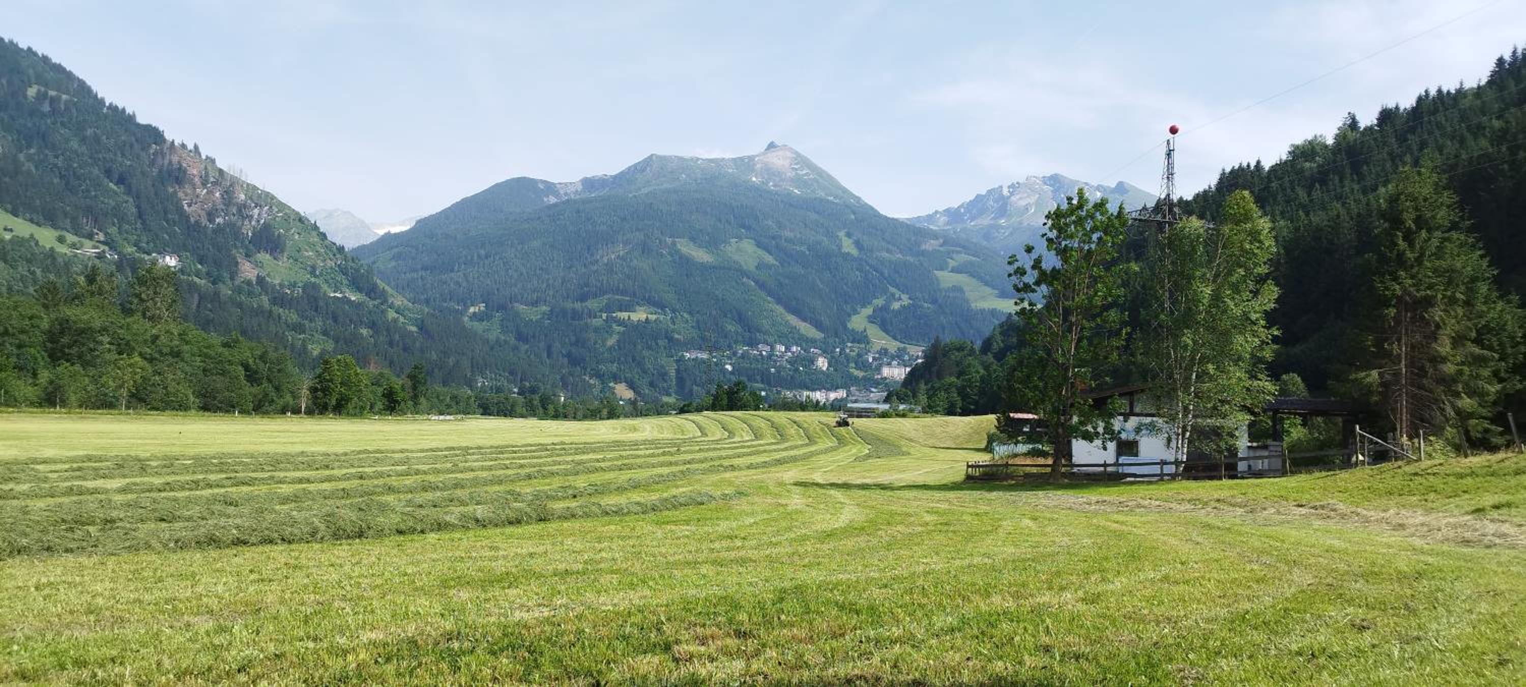 Bio Bauernhof Schweizerhof