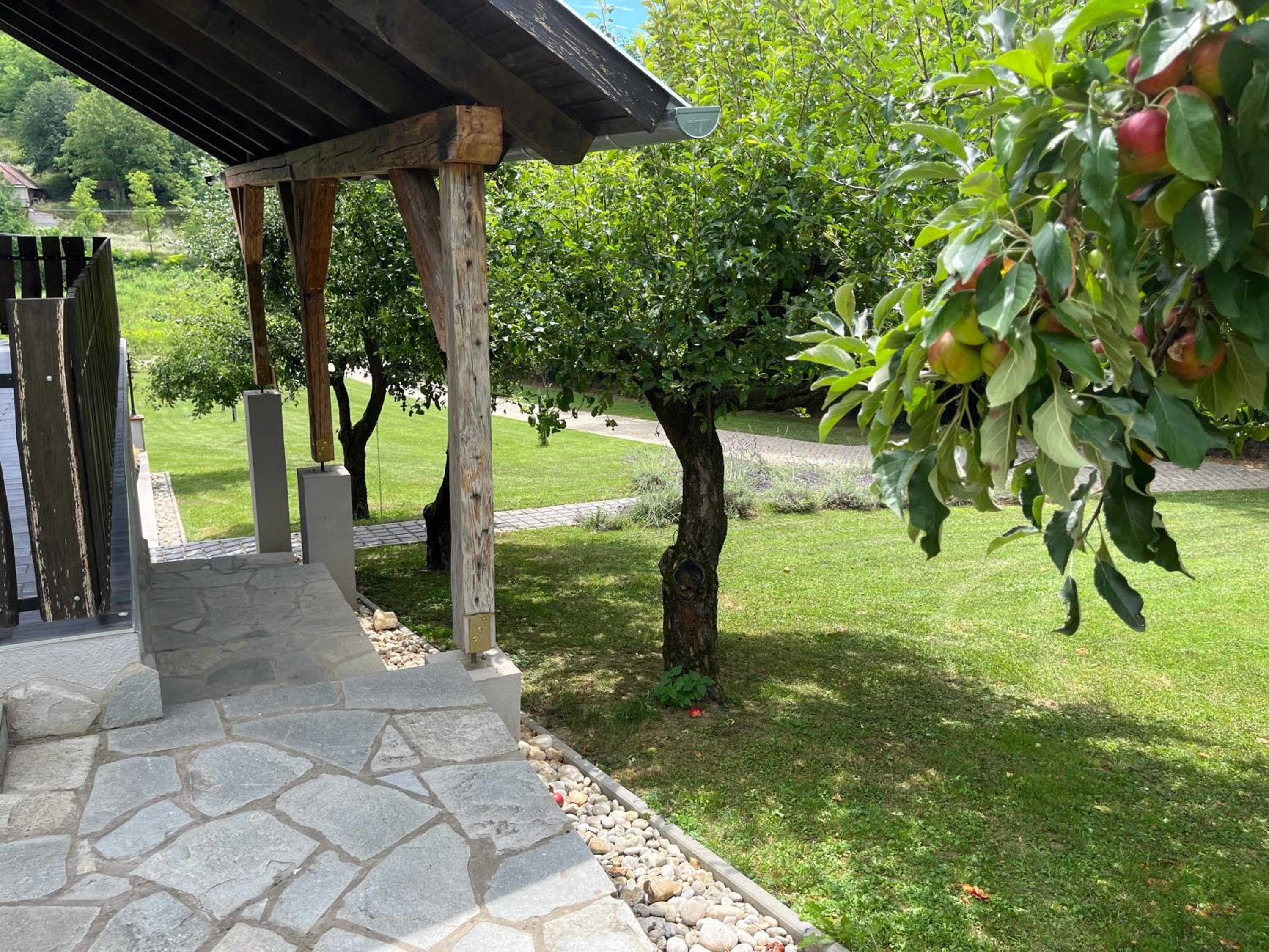 Photo 14