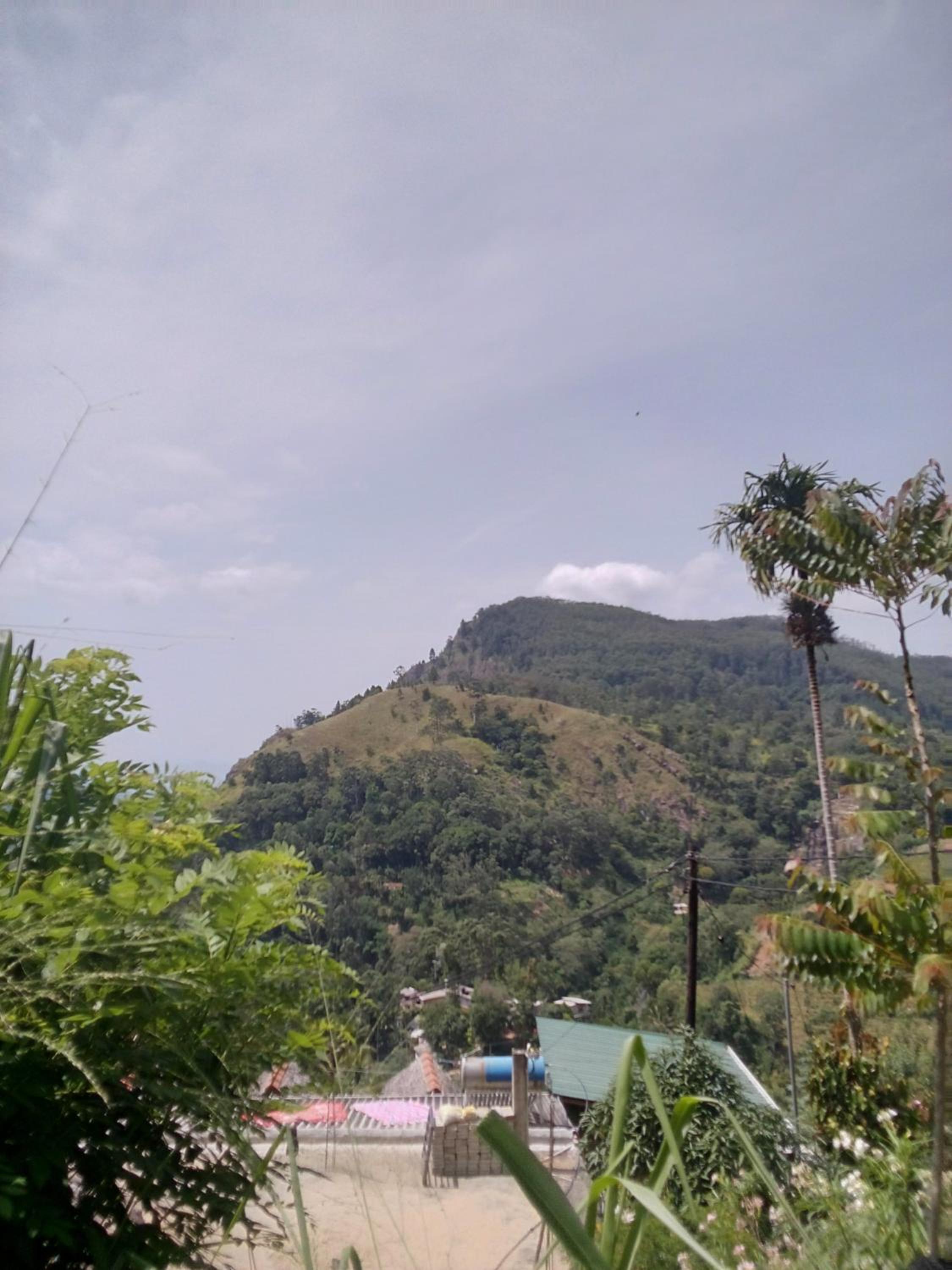 Ella gap gate