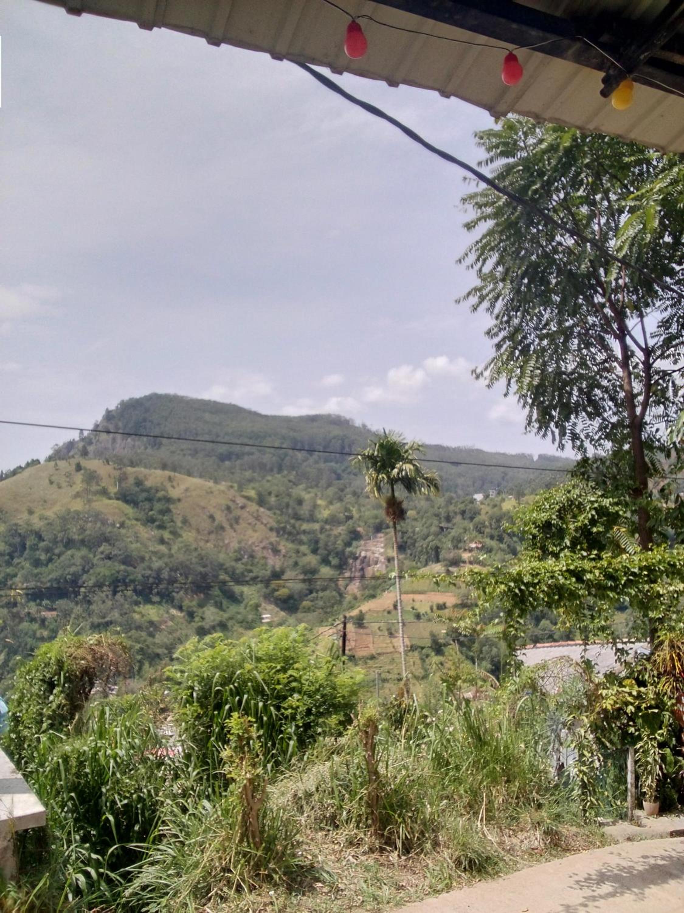 Ella gap gate
