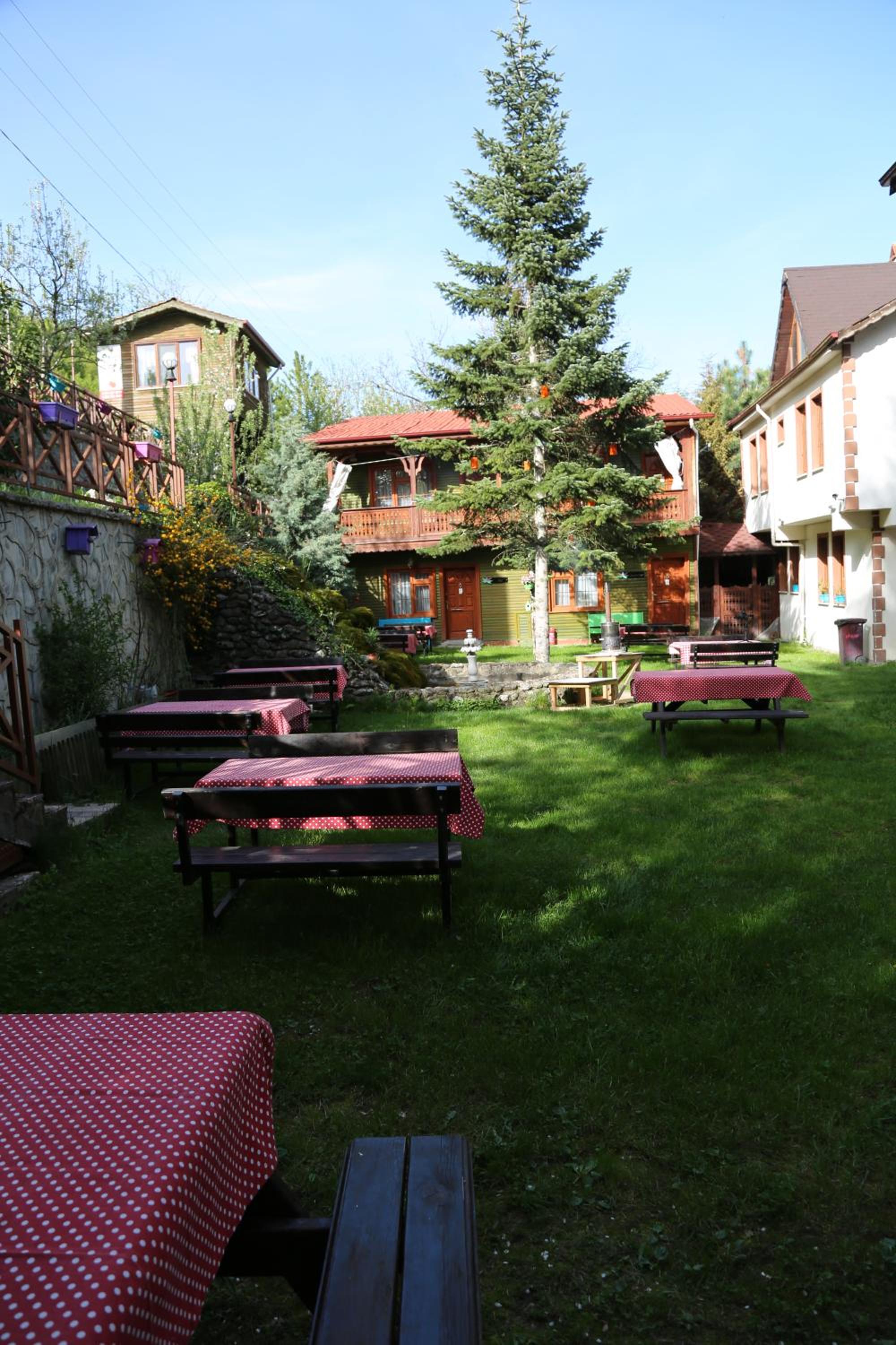 Photo 20