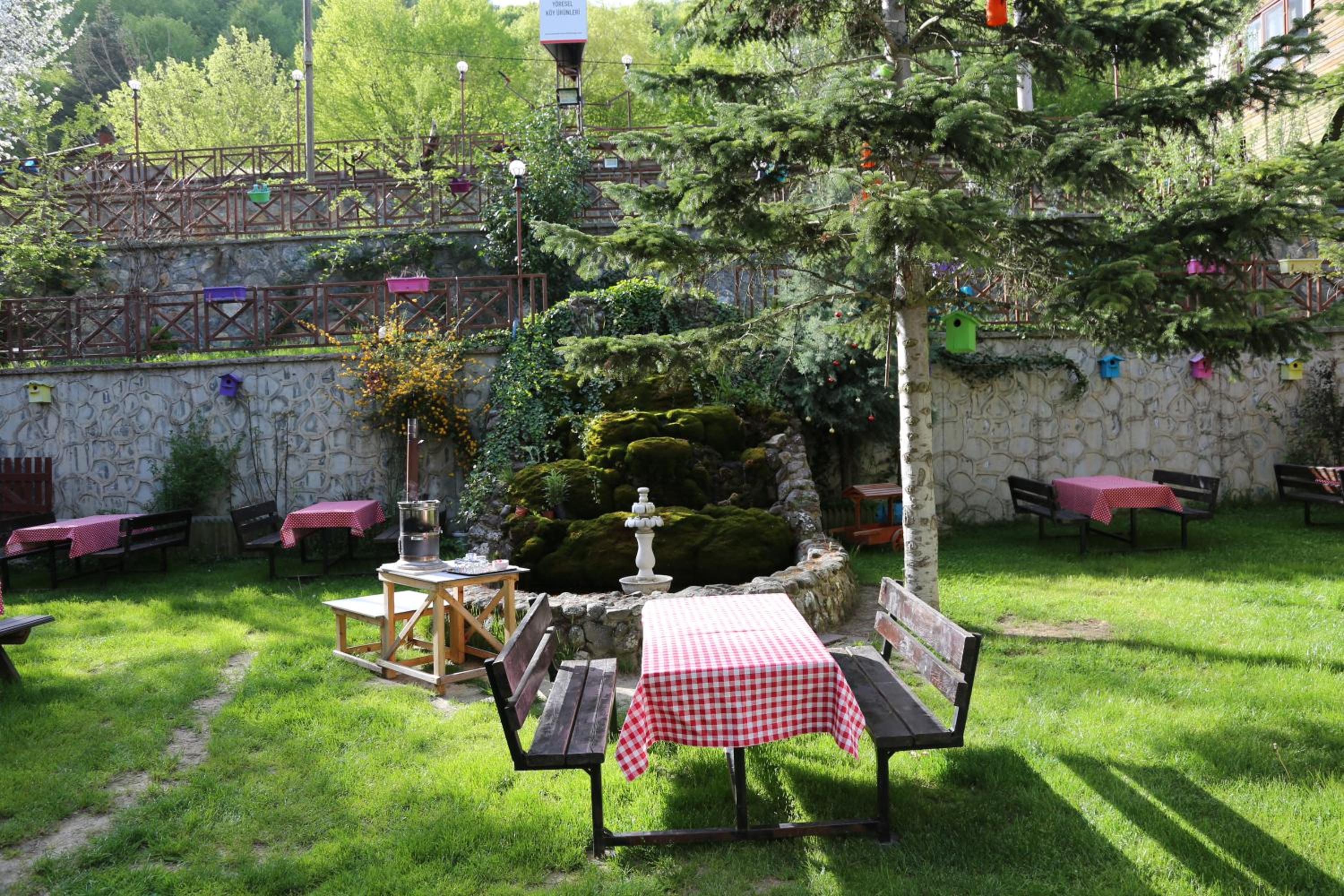 Photo 21