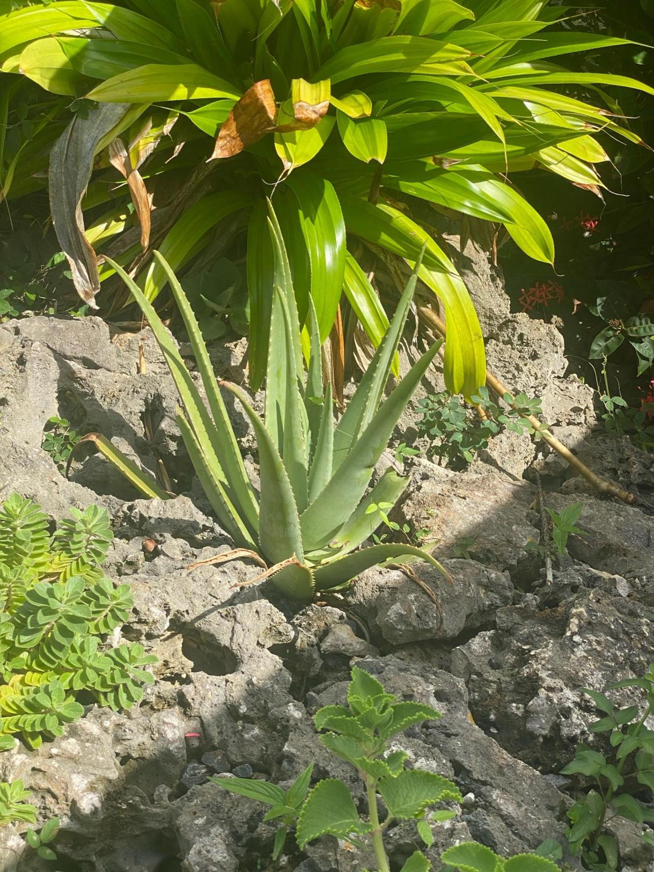 Photo 28