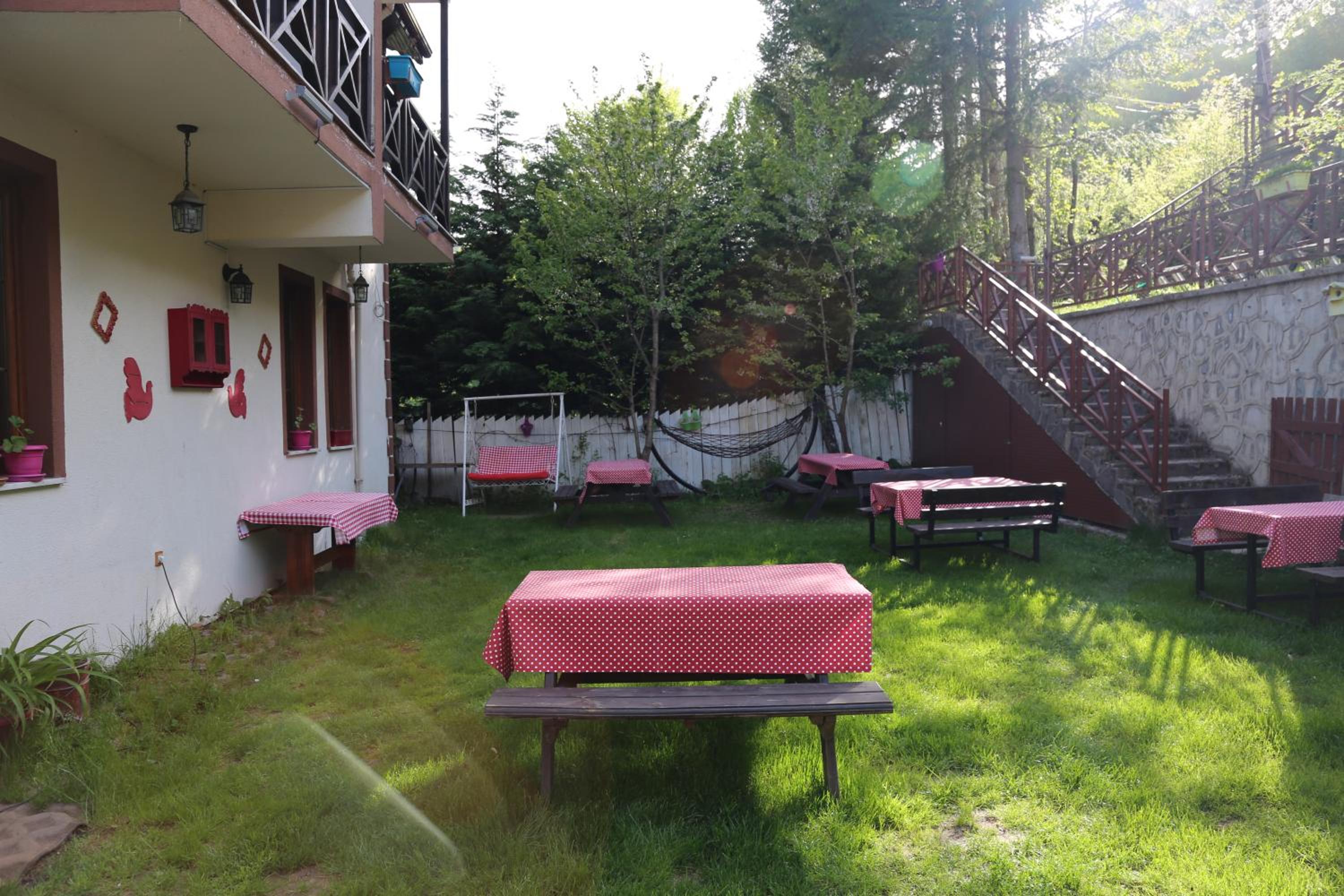 Photo 24
