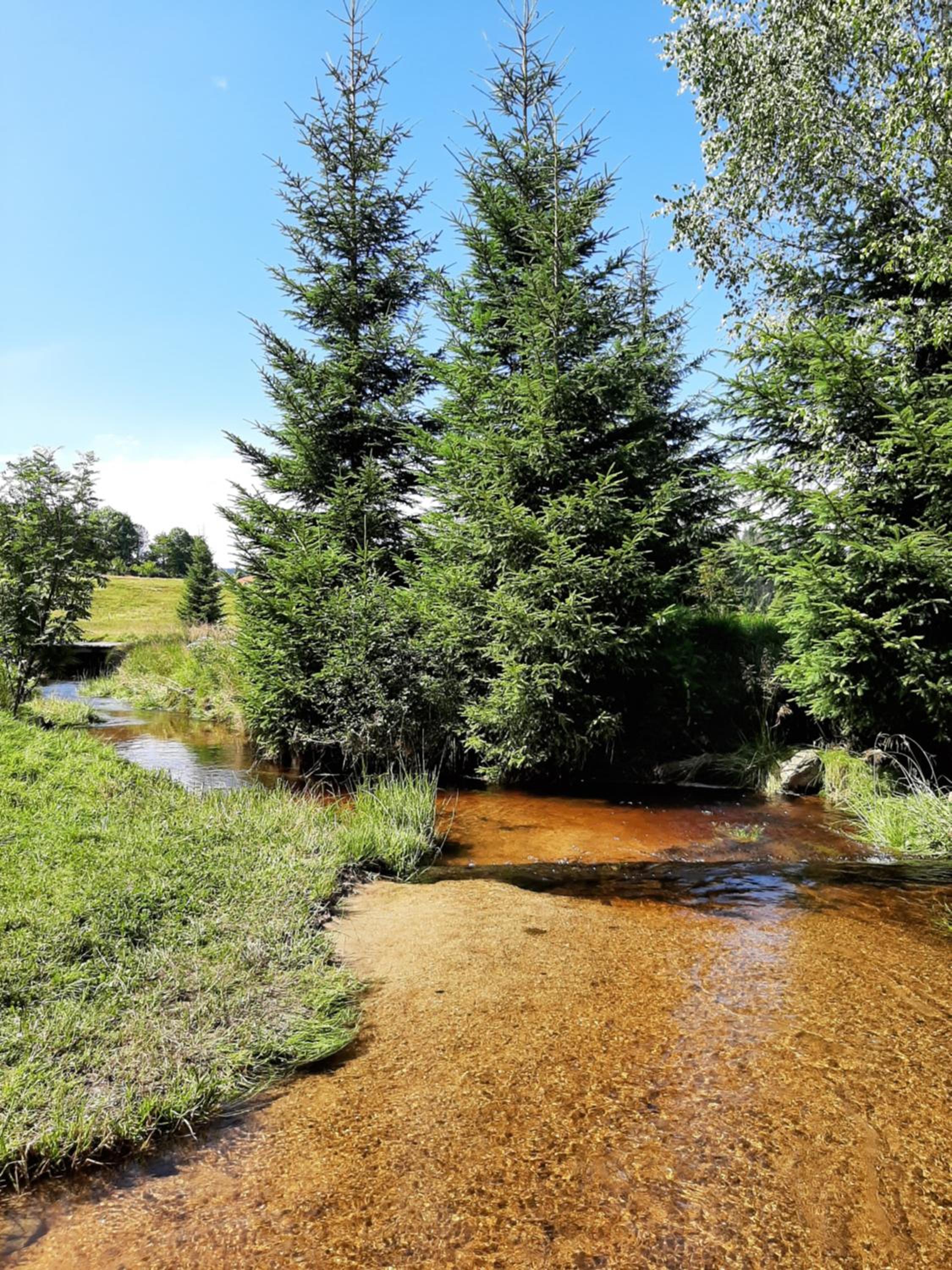 Prázdninový dům - Apartmány Vltavice