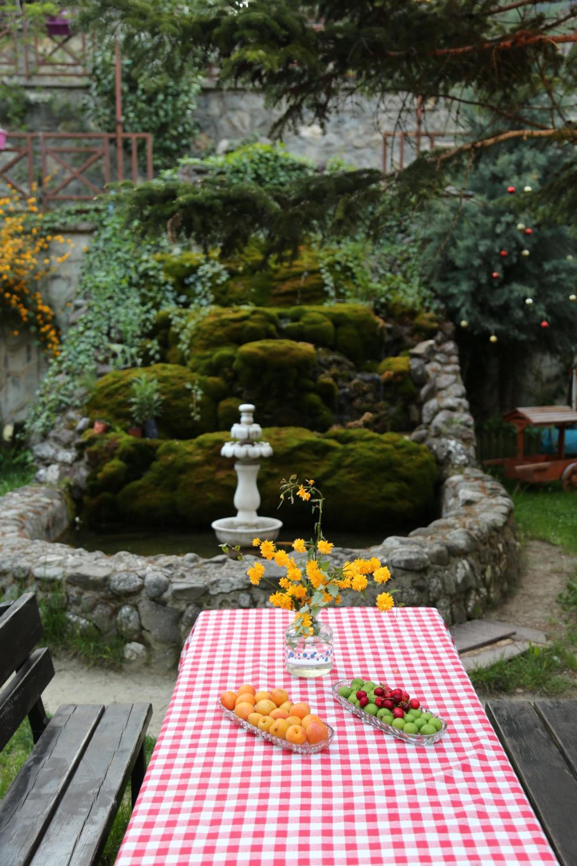 Photo 26