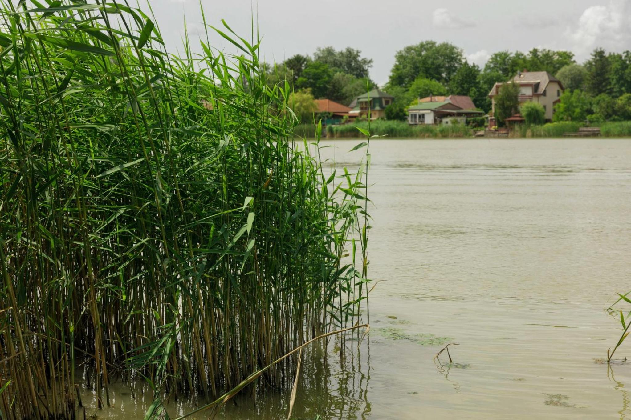 Nyárfás Panoráma Vendégház