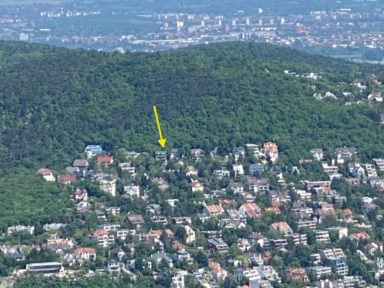 Rustic Cottage & Garden Retreat on Buda Hilltop view 5