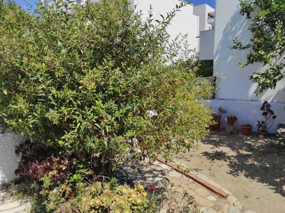 Lorraine's house view 3