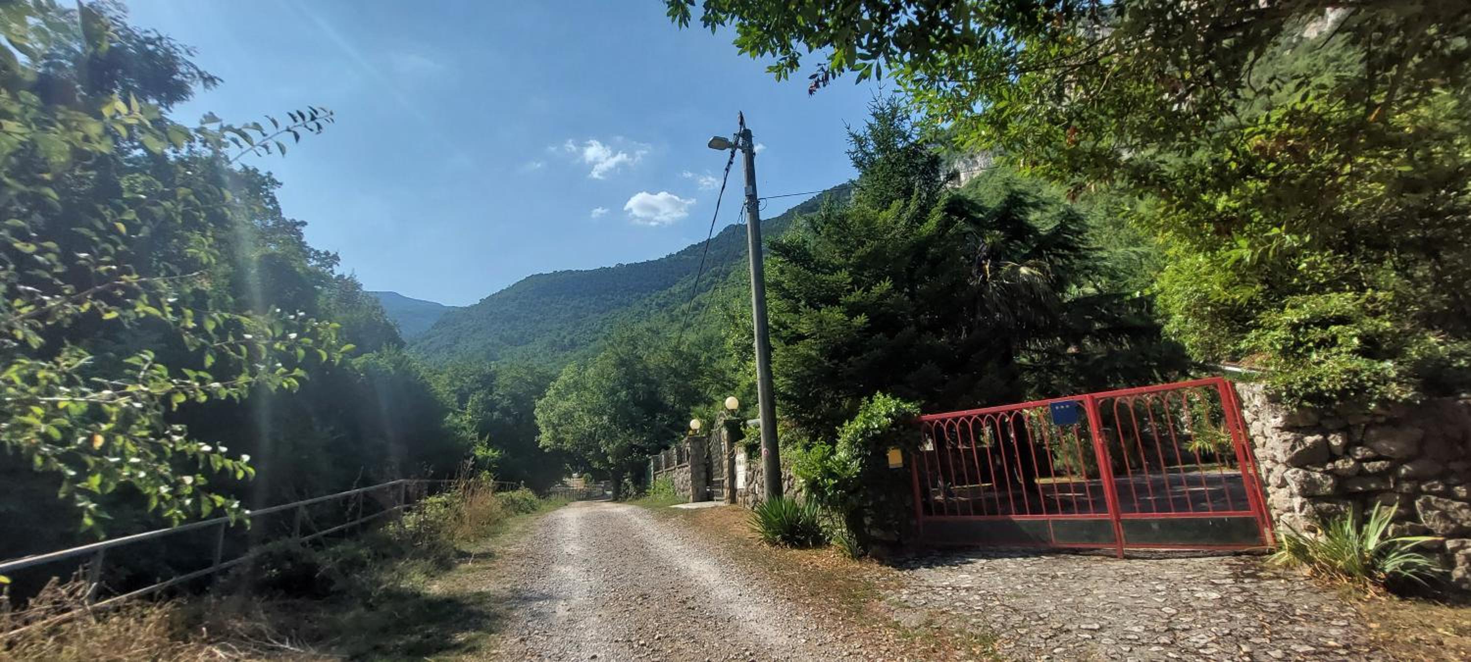Medveja