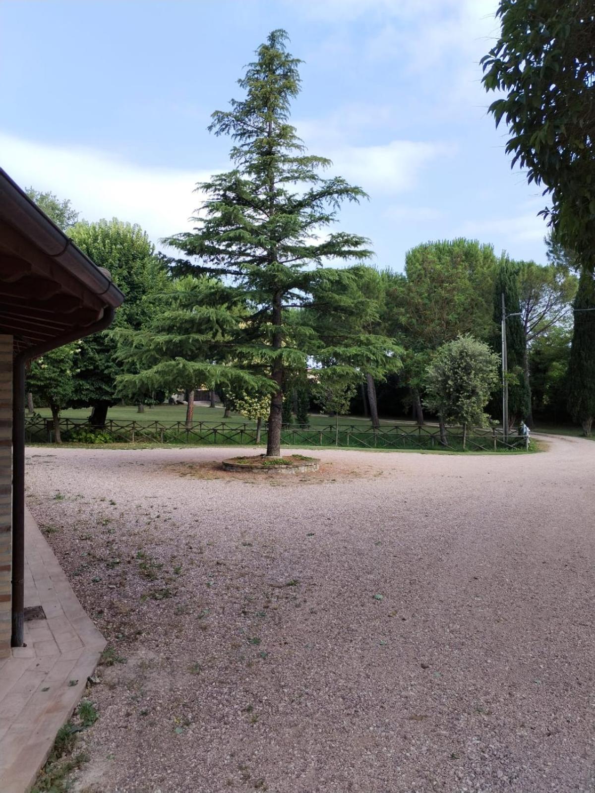 Agriturismo Il Mulino del Vescovo