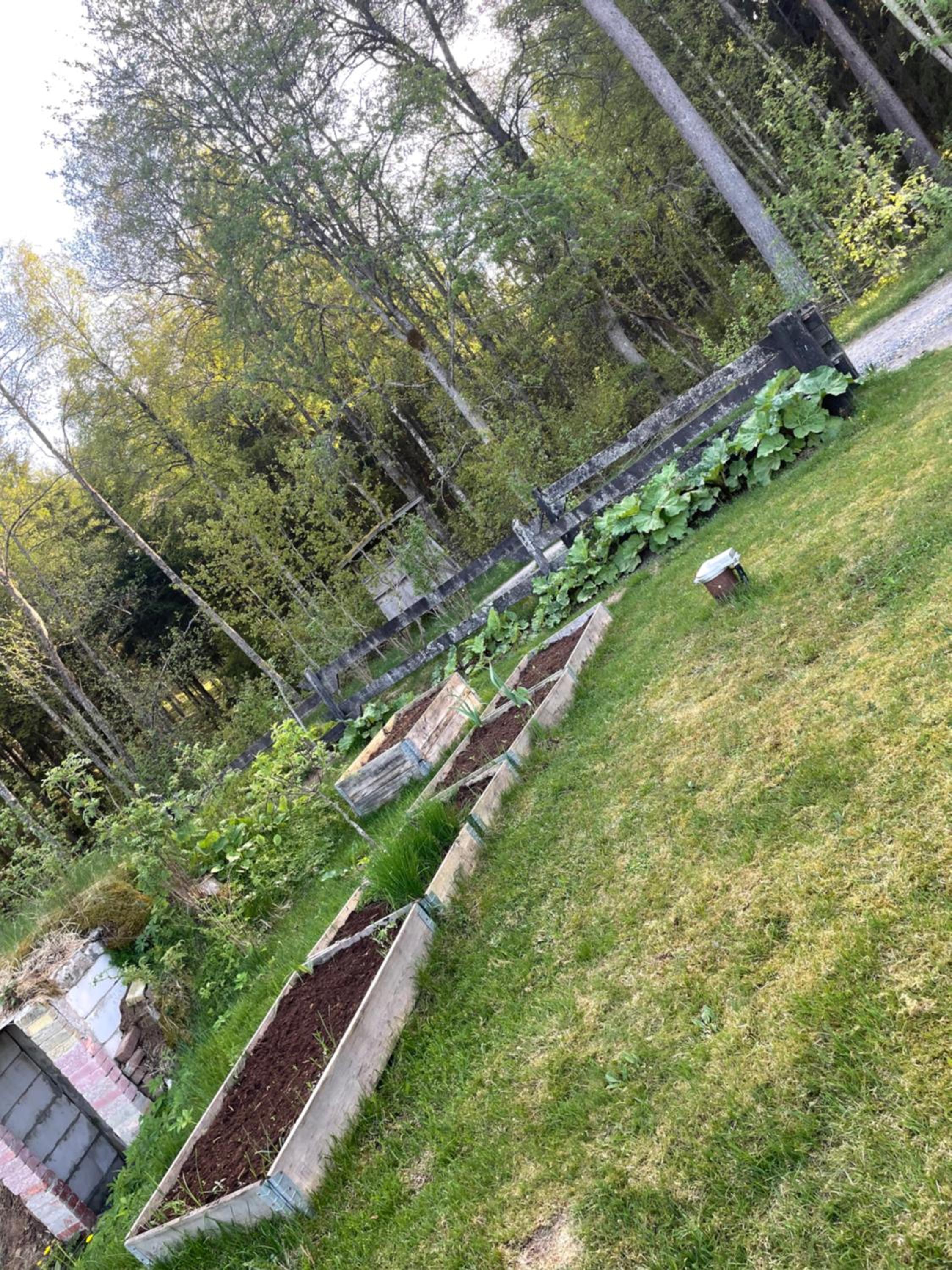 Photo 25