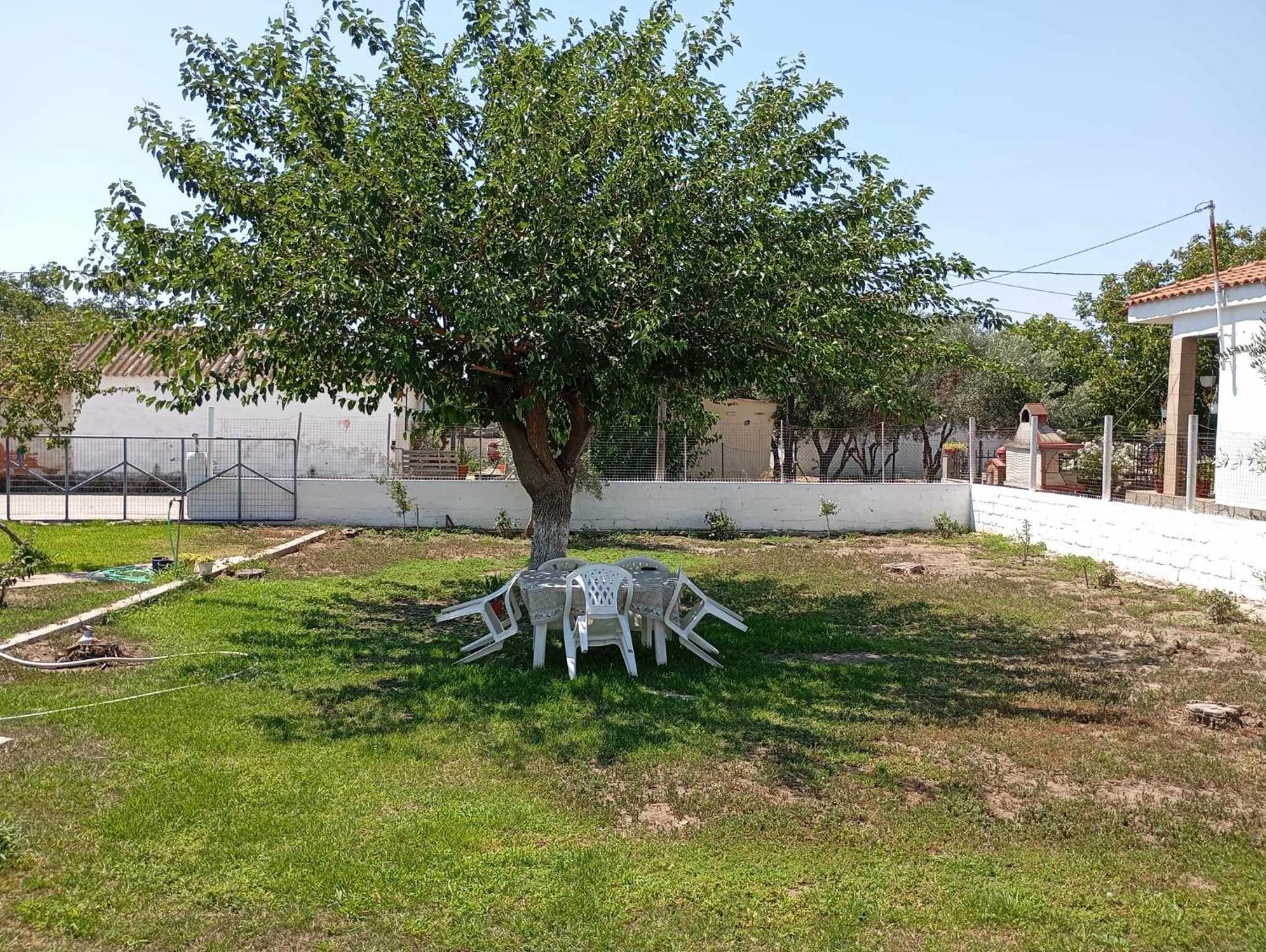 Vasilikis House