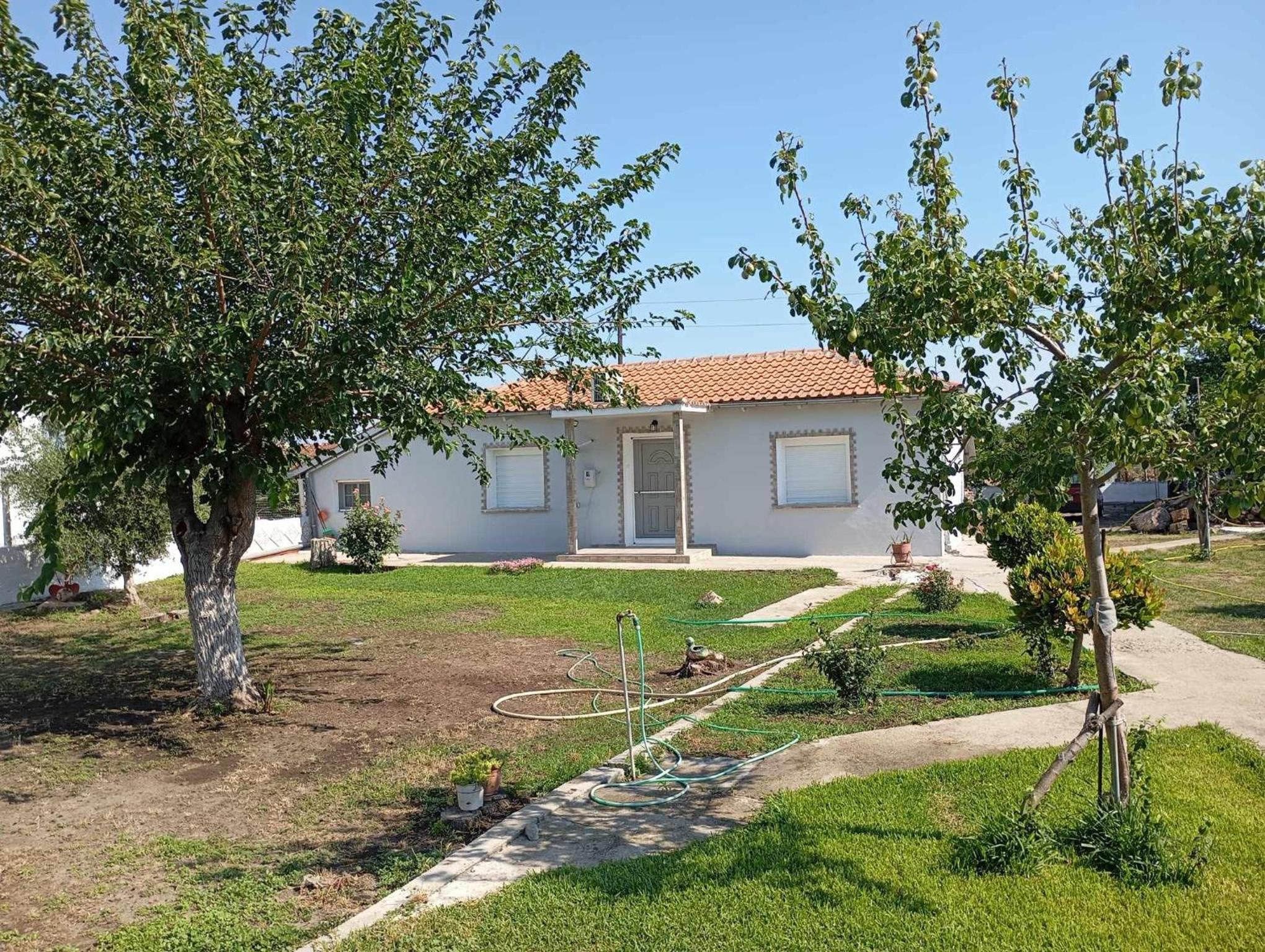 Vasilikis House