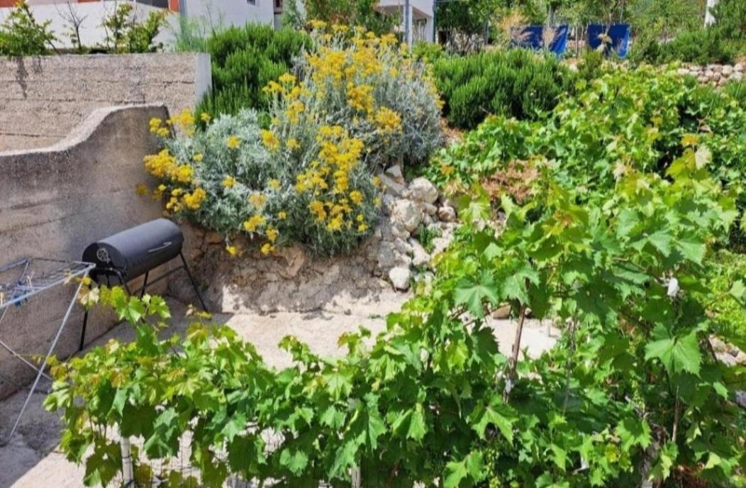 Apartman Ivano