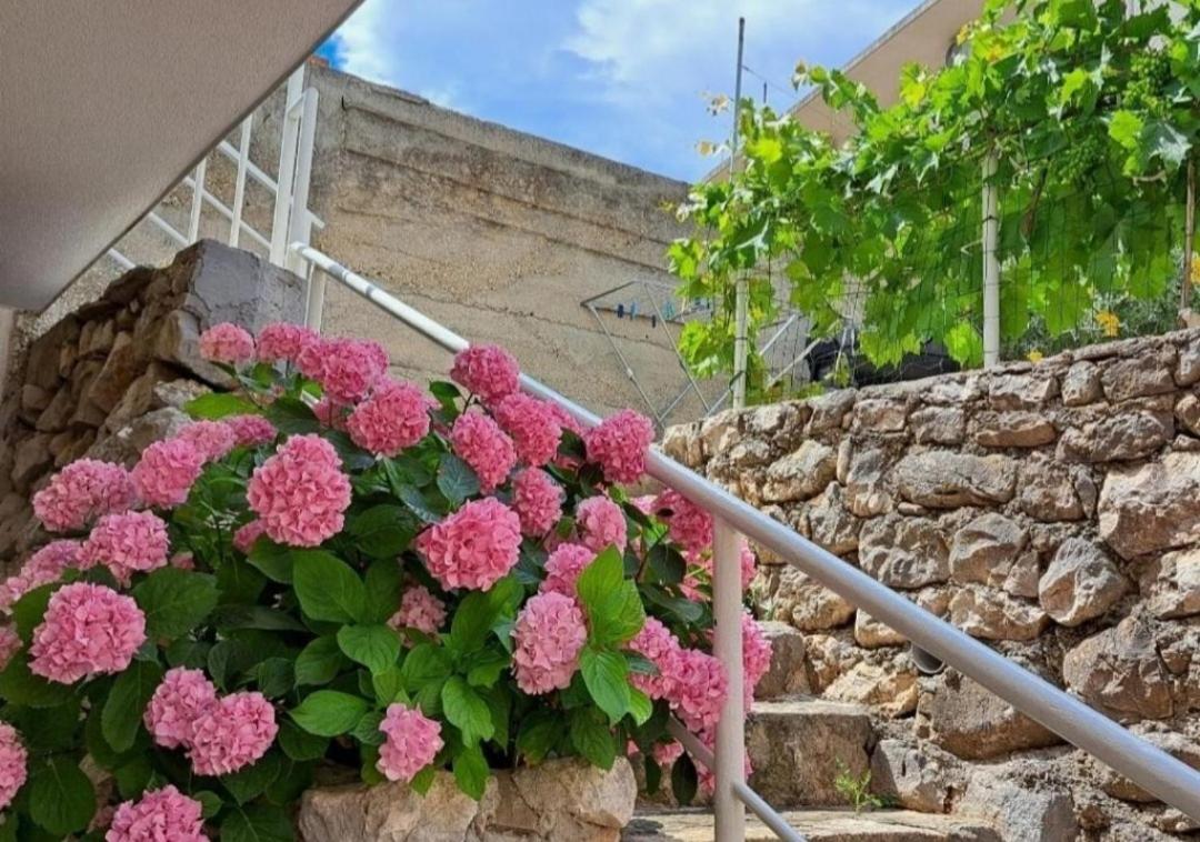 Apartman Ivano