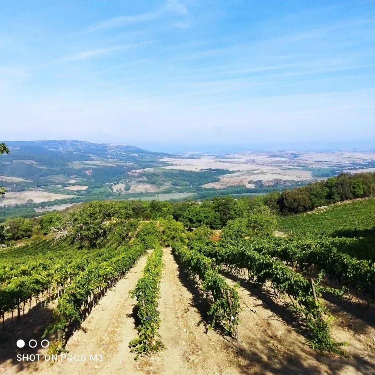 Poggio Al Vento