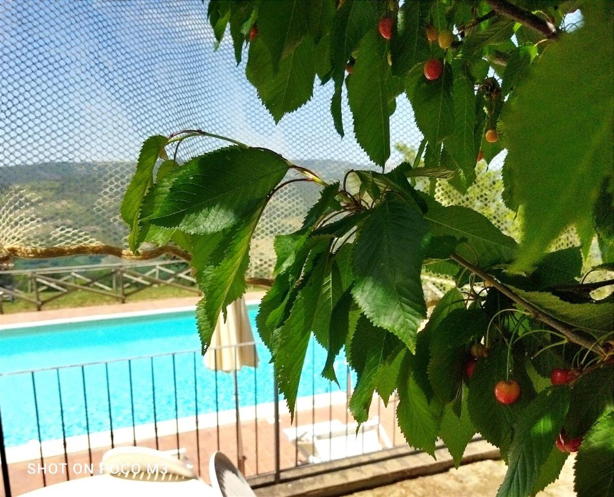 Poggio Al Vento