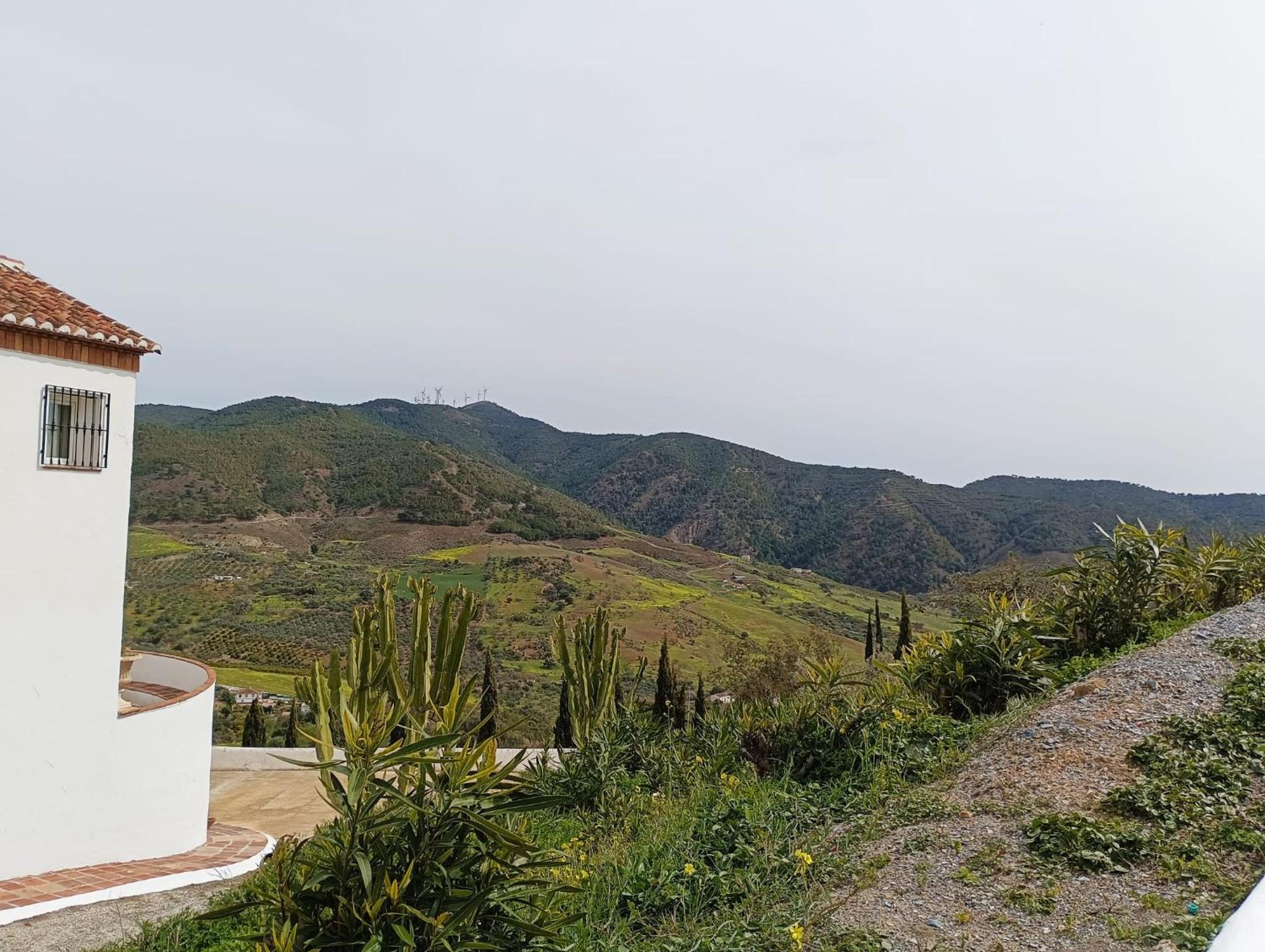 Los Alcornoquillos