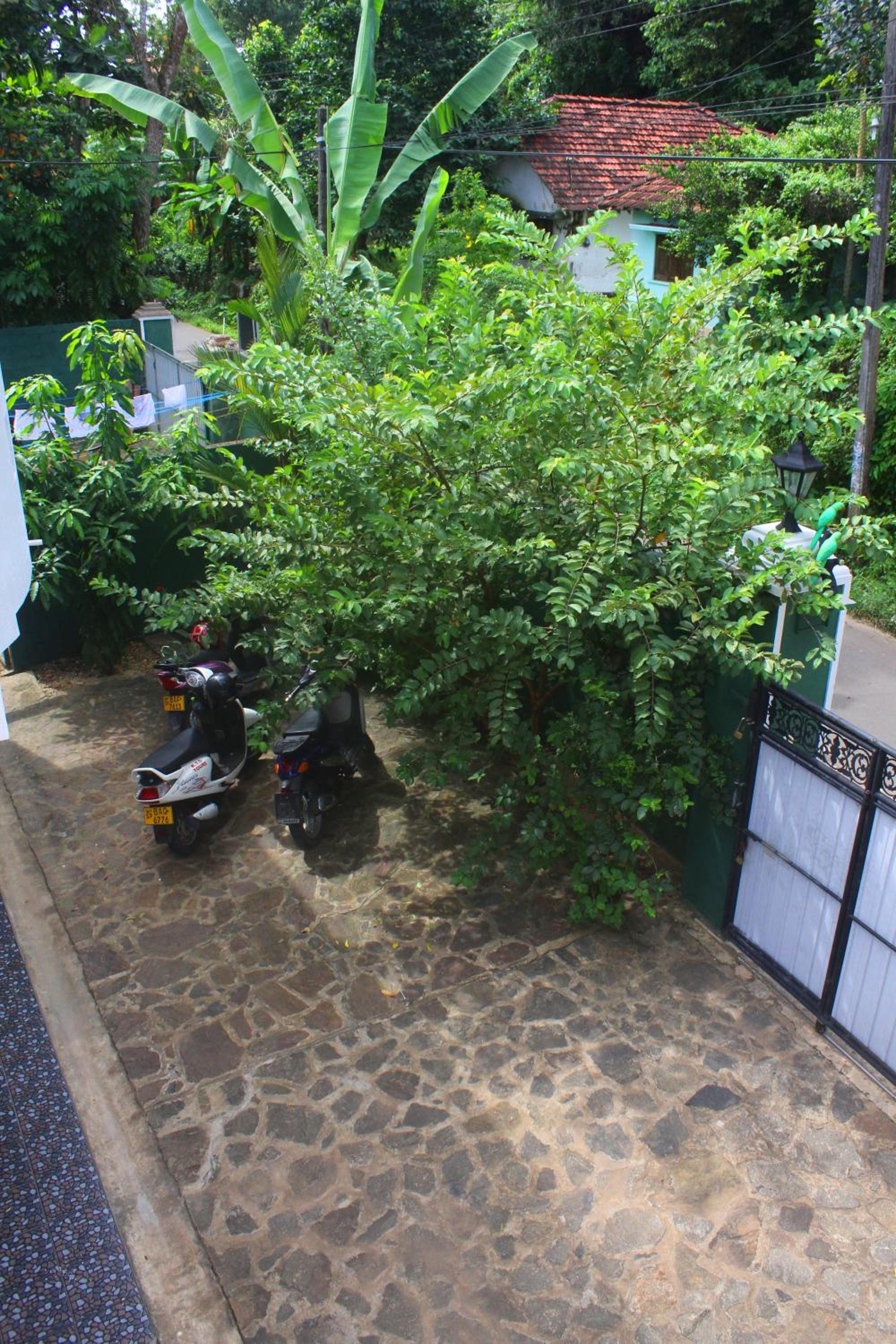 Tiny Royal Palace