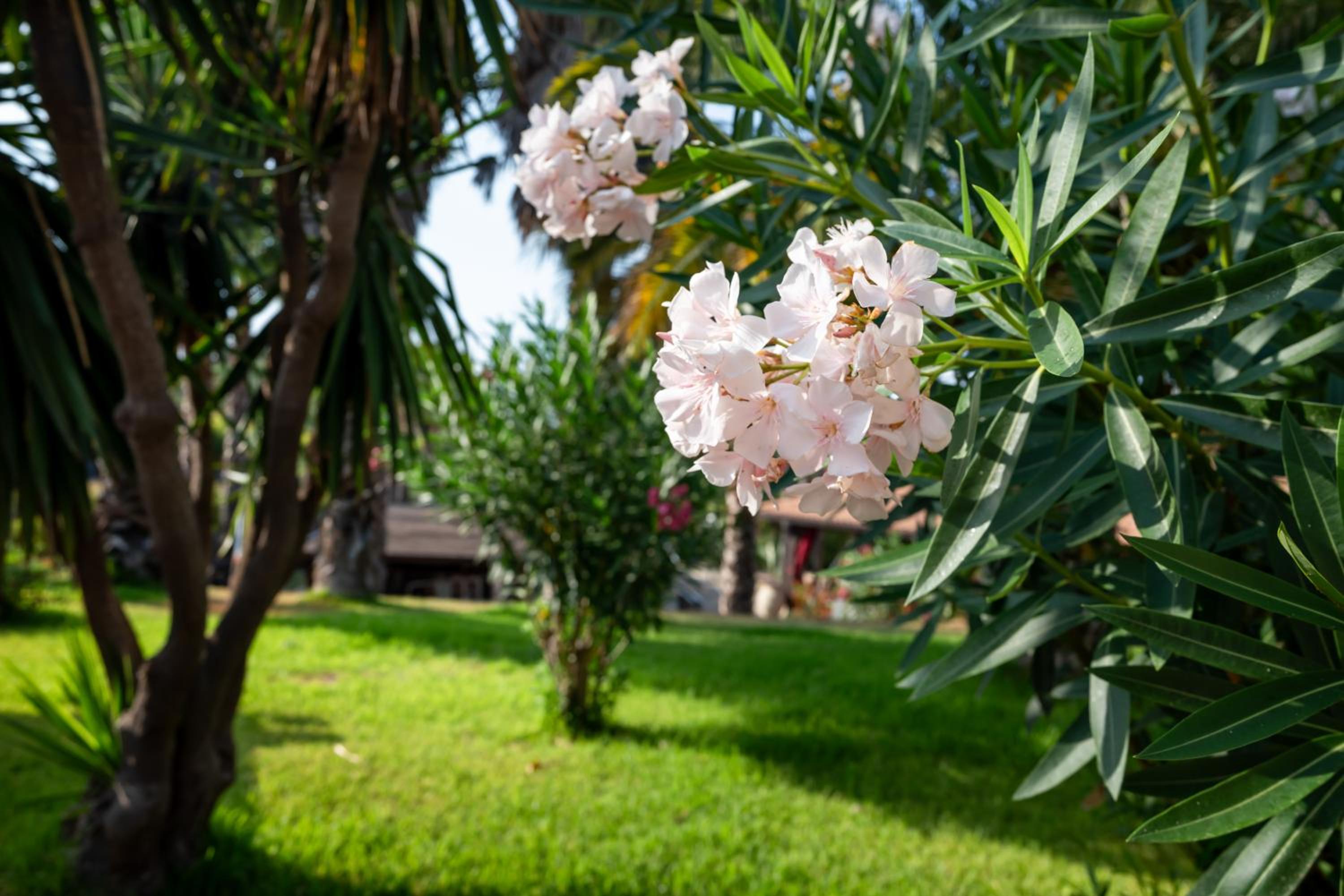Villa Medea view 5