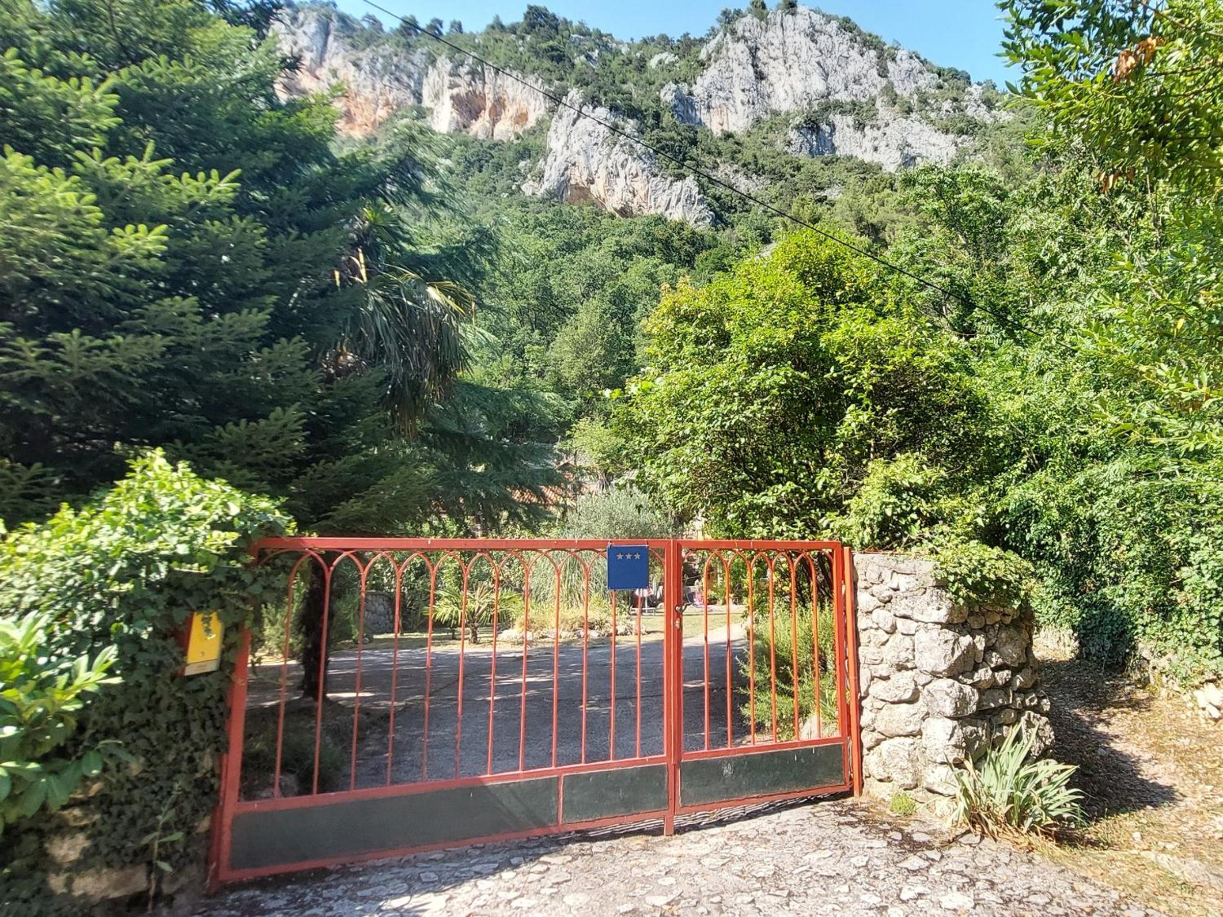 Medveja
